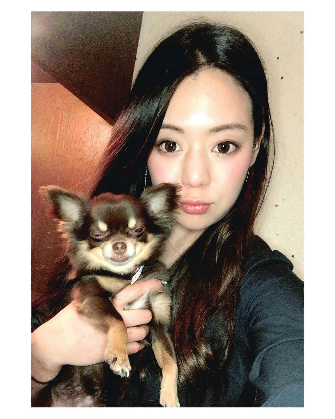 高田汐美のインスタグラム：「嫌がられてるワイ ウソよほんとはなかよしこよし😈  #犬」