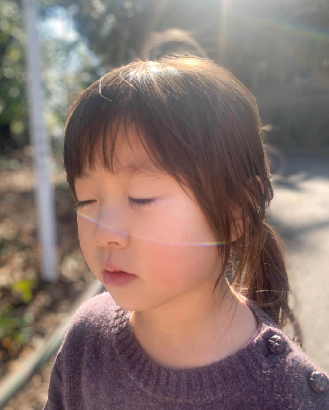 坂本美雨さんのインスタグラム写真 - (坂本美雨Instagram)「いつもいい光の中にいる  #今日のなまこちゃん」2月18日 21時38分 - miu_sakamoto