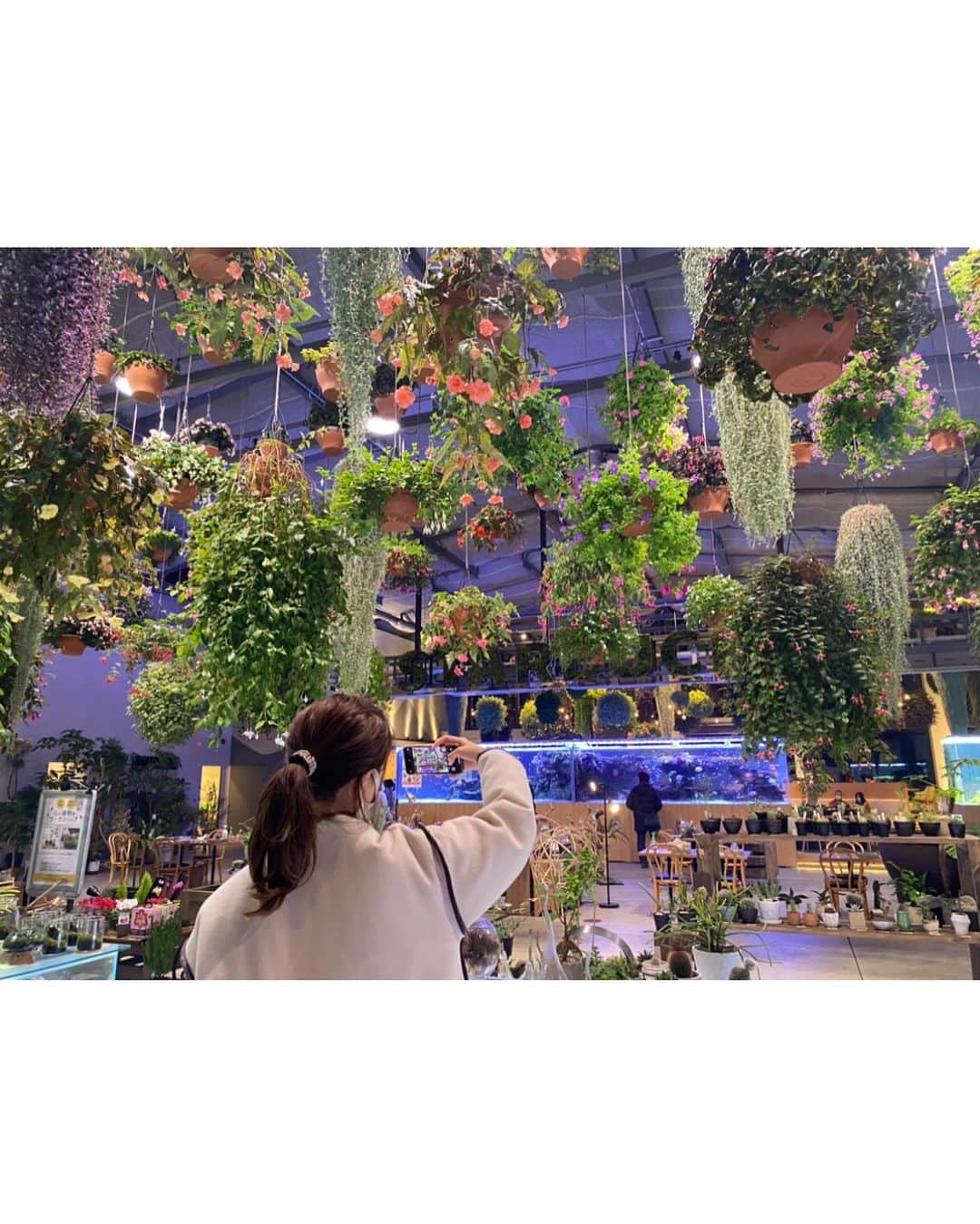 山崎春佳さんのインスタグラム写真 - (山崎春佳Instagram)「☕️🍃  先日、お姉ちゃんとよみうりランドの新施設 HANABIYORI に行ってきたよ💙 2020/10/31〜2021/2/28の期間でHANAあかりという イベントをしているんだけど、とっても綺麗だった！  推しポイントはここだけの限定のスタバが出店しているところ！あとは、新宿から25分で行けるところ☺︎  植物園や日本庭園があったり、花のプロジェクション マッピングが見られたり…綺麗な自然に触れられる スポット◎今月28日までだからぜひ😘  @hanabiyori8717  @yomiuriland   #me #tbt #sisters #nature #starbucks #teatime #flower #よみうりランド #よみラン#HANABIYORI #ハナビヨリ #HANAあかり #ハナあかり #スタバ #スターバックス #starbucks #カフェ巡り #花のある暮らし #植物園 #フラワーアレンジメント #カワウソ」2月18日 21時44分 - haruka_yamazaki