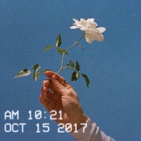メリメロのインスタグラム：「🌸🌼🌛」