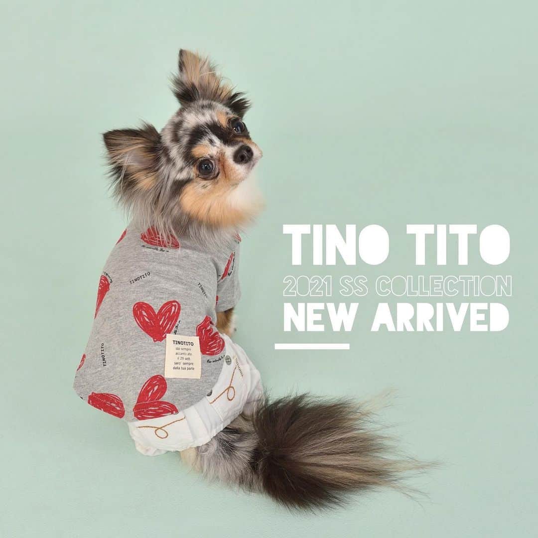 TINOTITO -ティノティート-のインスタグラム：「😁😁😁 tino tito 2021 spring&summer collection お披露目が解禁になりました👏 発売日は、2/24デス！！ まずは、tino tito自信の最新作を少しご覧下さい♪ ➡️スワイプしてね♡ . wanvoyage(ワンボヤージュさん)にて TINO TITO 2020 AW collection を 販売しています。 . @wanvoyage_official のサイトをご覧ください♪ .  #tinotito #ティノティート #犬の服 #犬服 #犬服 #犬 #犬バカ部 #ペット #ふわもこ部 #pet #dogwear #dog#petclothes #dogclothes #coordinate #outfit #fashion  #instafollow #l4l #dogstagram #instagood #cute #pretty  #follow #petoftheday #f4f #followme  #개스타그램 #멍스타그램 #狗衣服代購」