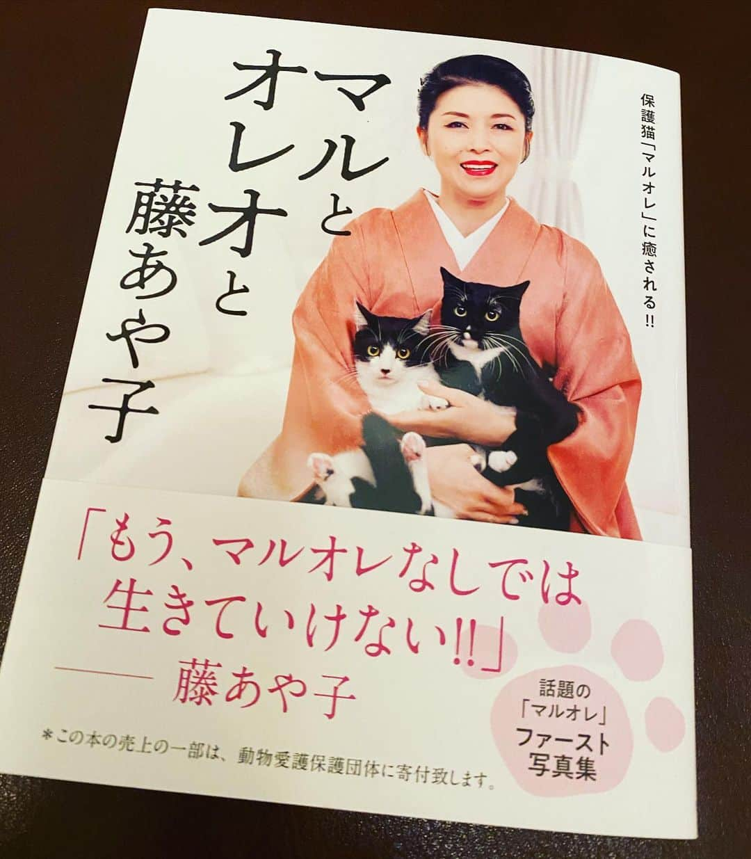 ノブ さんのインスタグラム写真 - (ノブ Instagram)「藤あや子様の書籍を頂きました！！ 猫愛がスゴイ！！ 相席食堂もありがとうございました！ なんでずっとどデカいお面持ってたんやろ！ #マルとオレオと藤あや子」2月18日 21時59分 - noboomanzaishi