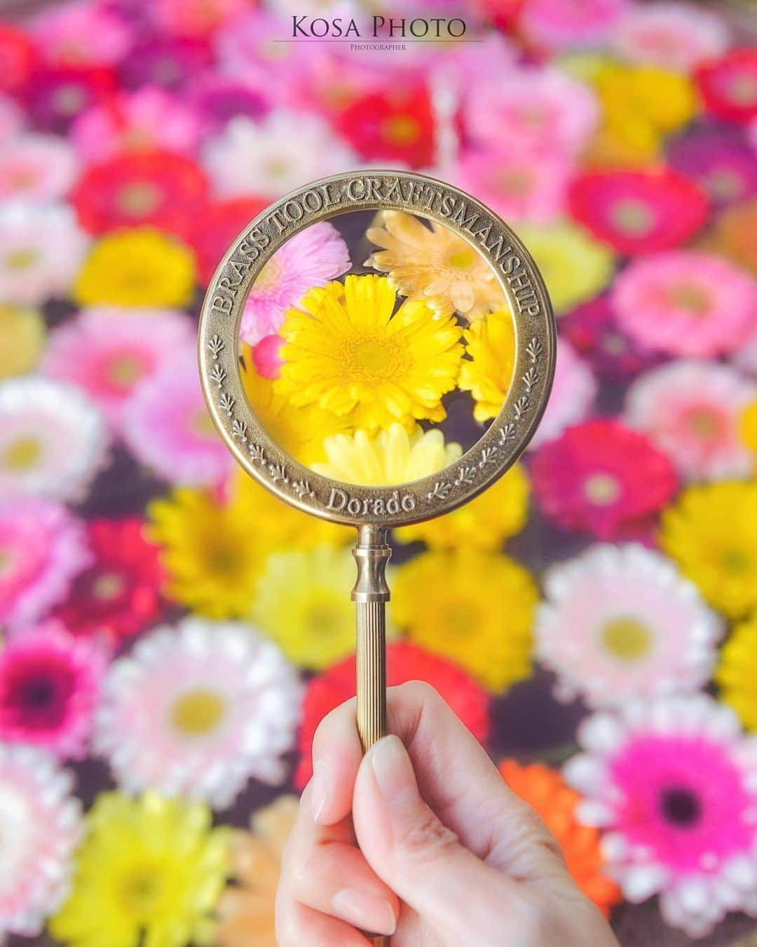 コサさんのインスタグラム写真 - (コサInstagram)「花占い🌼🔍 まさか白浜の三段壁にガーベラの花手水があるとは‼️ ここ数年で全国的に流行ってますね😆 梅とか桜の花手水もあるのかなぁ❓ . Location:和歌山 Wakayama / Japan🇯🇵 Date:2021年1月 . #花手水 #ガーベラ #三段壁 #虫眼鏡 #ip_blossoms #はなまっぷ #私の花の写真 #wp_flowers #ip_for_blossoms #Japan_Daytime_View #nankiphoto #白浜町 #乗り越えようnippon #ニコン #写真は私の原動力 #arrowsあなたが夢中な世界 #insta_wakayama #グッドトリップ和歌山 #visitwakayama #light_nikon  #tokyocameraclub #team_jp_ #photo_jpn #ptk_japan #bestjapanpics #Lovers_Nippon #日本ツアーズ #colore_de_saison #Rox_Captures #special_spot_legend」2月19日 7時32分 - kosa_photo