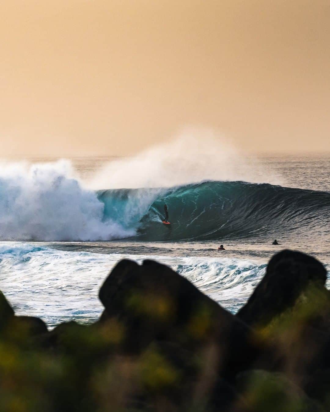surflineさんのインスタグラム写真 - (surflineInstagram)「Meanwhile, Europe has also been pumping, as evidenced by @william_aliotti in the Canary Islands earlier this week.  📷: @javigl」2月19日 8時01分 - surfline