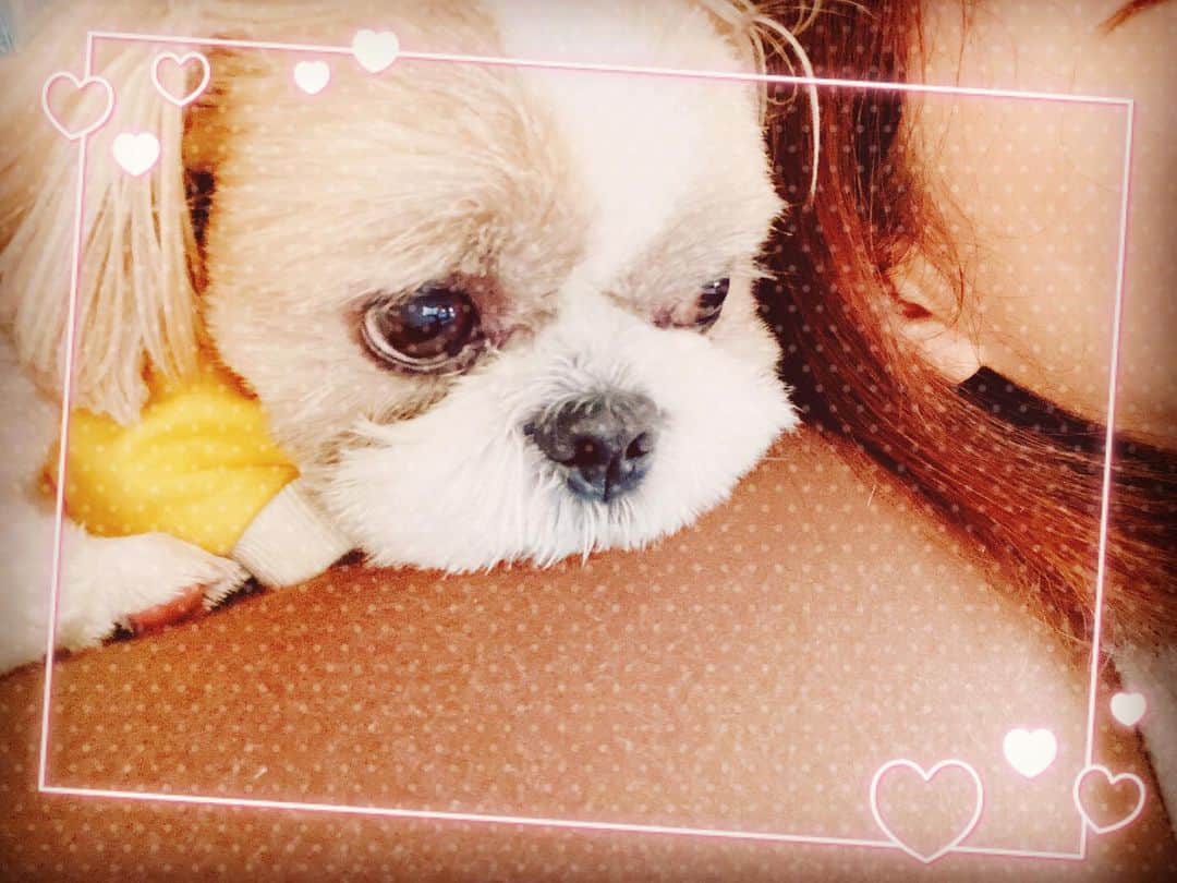 倉田雅世のインスタグラム：「こんばんは。 今日は、花粉がすごかったですね。 わたしは、肺がかゆいです(>_<) おやすみなさい💤」