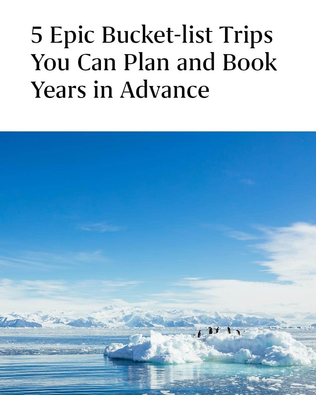 Travel + Leisureさんのインスタグラム写真 - (Travel + LeisureInstagram)「What are your long-term travel plans? For frequent travelers the world seems a bleak place at the moment, but there are still plenty of incredible once-in-a-lifetime trips you can book years in advance. From African safaris to cruises around Antarctica, get our list of the best itineraries at the link in bio so you can start planning.」2月18日 23時51分 - travelandleisure