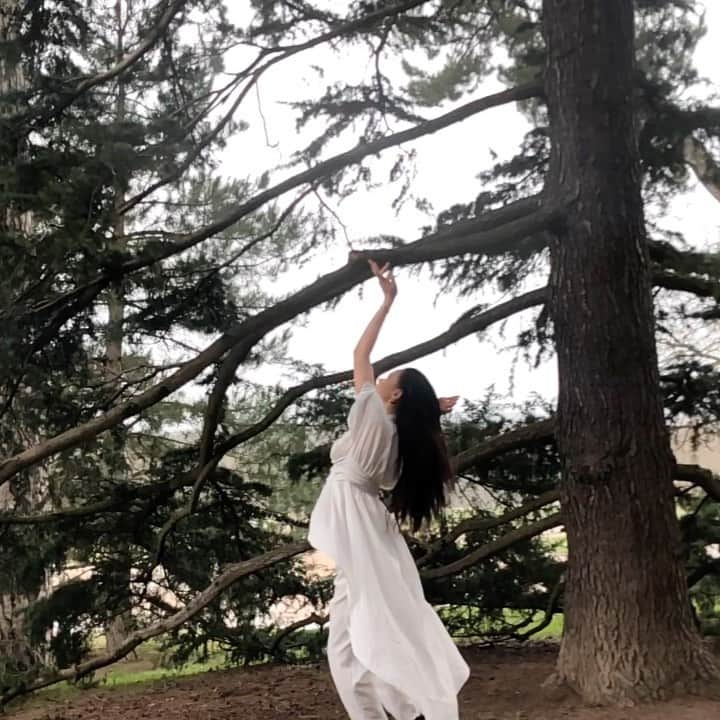 クリスティナ・バザンのインスタグラム：「Communing with the trees, dancing with the rain. Song - Matter ( link in bio ) 🌳🌿」