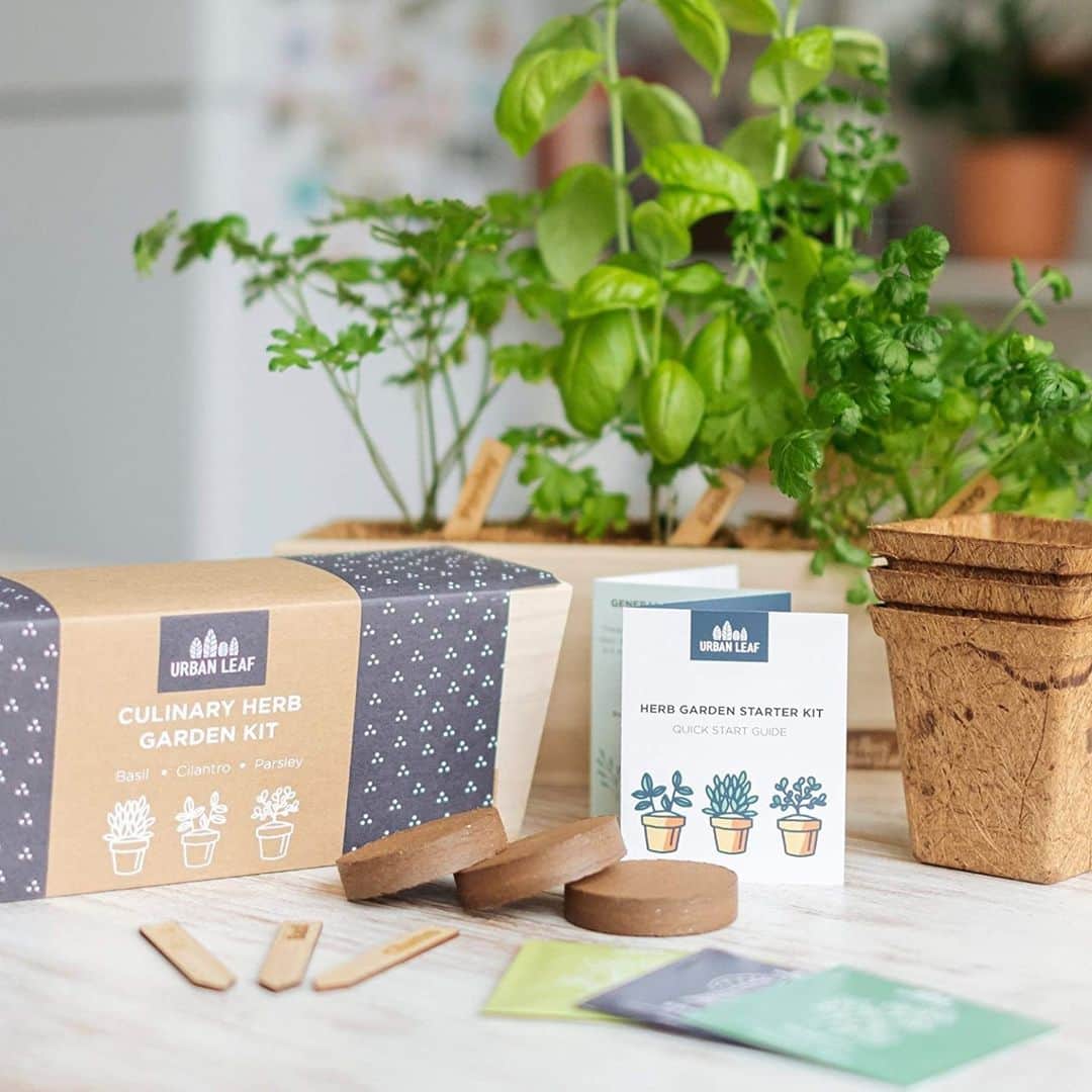 HGTVさんのインスタグラム写真 - (HGTVInstagram)「Looking for an indoor activity to brighten a wintry day? 🌞🌨 Bust out the gardening gloves and get planting! Spring will be here before we know it, afterall. 🙏 ⁠ ⁠ No matter what your skill level, these beginner-friendly kits will help you start a garden from scratch.⁠ 🌱 From seeds and soil to pots and markers, we found failproof, stress-free kits that come with everything you need to start a vegetable, herb or flower garden. 🧑‍🌾⁠ ⁠ Head to the link in our profile (and click this image) to shop the 10 best garden starter kits. 🛍🔝⁠ ⁠ #shopping #gardening #seedstarter #indoorgarden #herbgarden #vegetablegarden #beginnergardener #plants」2月19日 0時01分 - hgtv