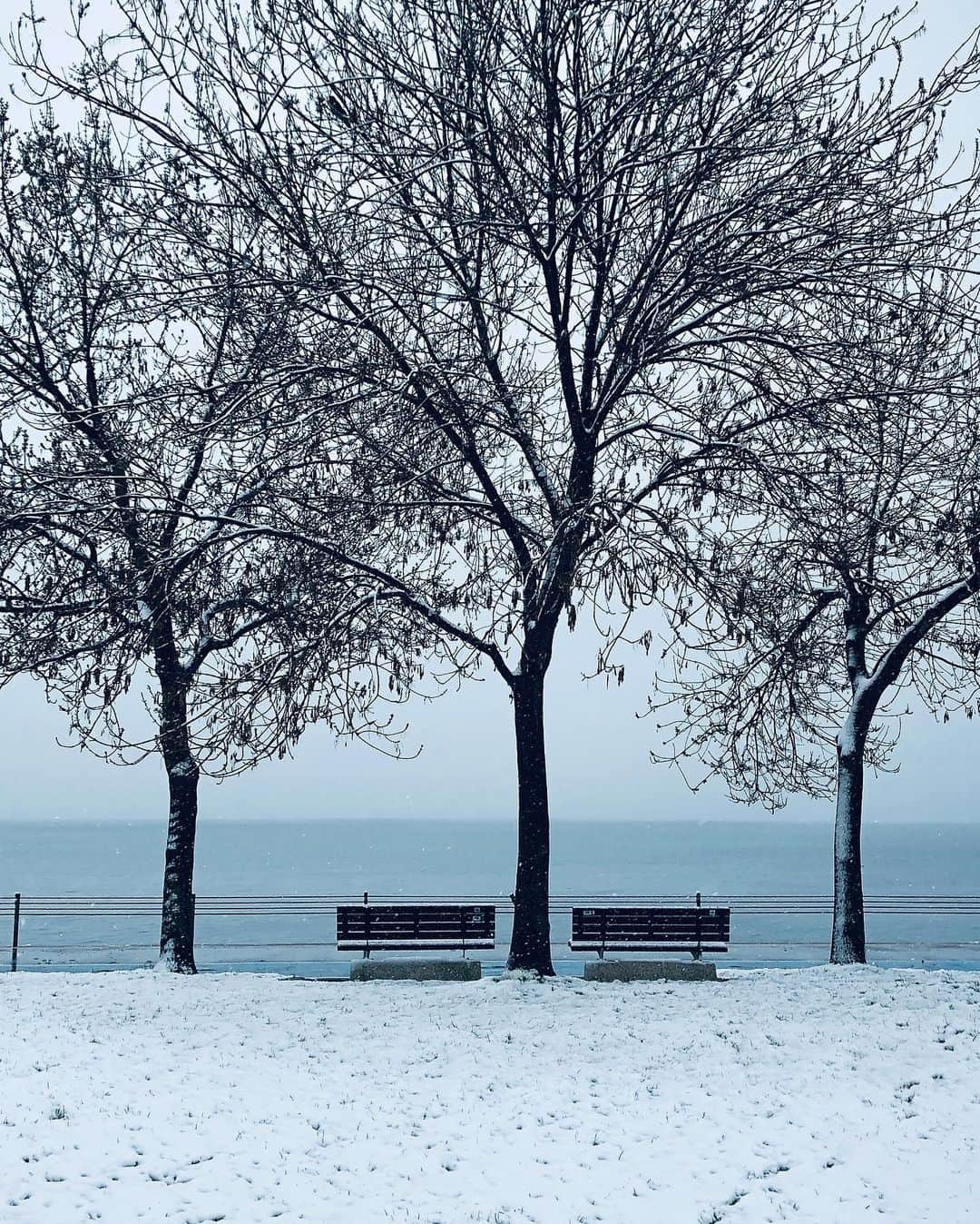 Mustafa Sevenさんのインスタグラム写真 - (Mustafa SevenInstagram)「3 günlük kar hayatımızın 10 karelik kısa özeti. En çok hangisini beğendiniz ? #Istanbul #Snow #StoryOfIstanbul  . . . . .  #streetlife #street #Photojournalist #documentaryphotography  #magnumphotos  #featureshoot  #lensculture #burndiary  #burnmagazine #worldpressphoto  #lensculturestreets  #one__shot__  #lensculturestreets  #everybodystreet  #streetphotographer  #hikaricollective #hartcollective  #spicollective #shootermag  #myfeatureshoot #helloicp  #tinycollective #StreetPhotographersMagazine」2月19日 0時32分 - mustafaseven