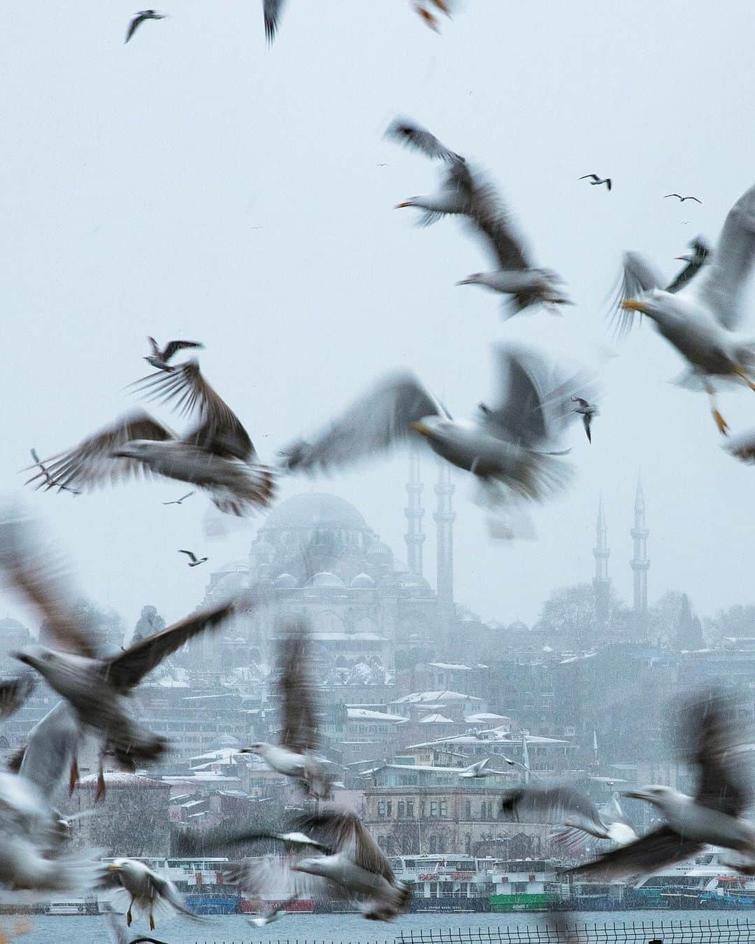 Mustafa Sevenのインスタグラム：「3 günlük kar hayatımızın 10 karelik kısa özeti. En çok hangisini beğendiniz ? #Istanbul #Snow #StoryOfIstanbul  . . . . .  #streetlife #street #Photojournalist #documentaryphotography  #magnumphotos  #featureshoot  #lensculture #burndiary  #burnmagazine #worldpressphoto  #lensculturestreets  #one__shot__  #lensculturestreets  #everybodystreet  #streetphotographer  #hikaricollective #hartcollective  #spicollective #shootermag  #myfeatureshoot #helloicp  #tinycollective #StreetPhotographersMagazine」