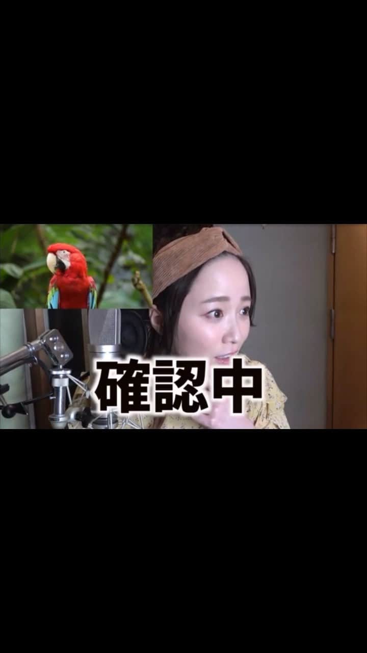 鈴木聖奈のインスタグラム：「#youtube  #youtuber  #せーなちゃんネル #アフレコ #アテレコ #やってみた #女優 #声優 #アニメ #アドリブ #anime #japanesegirl #Japaneseactress」