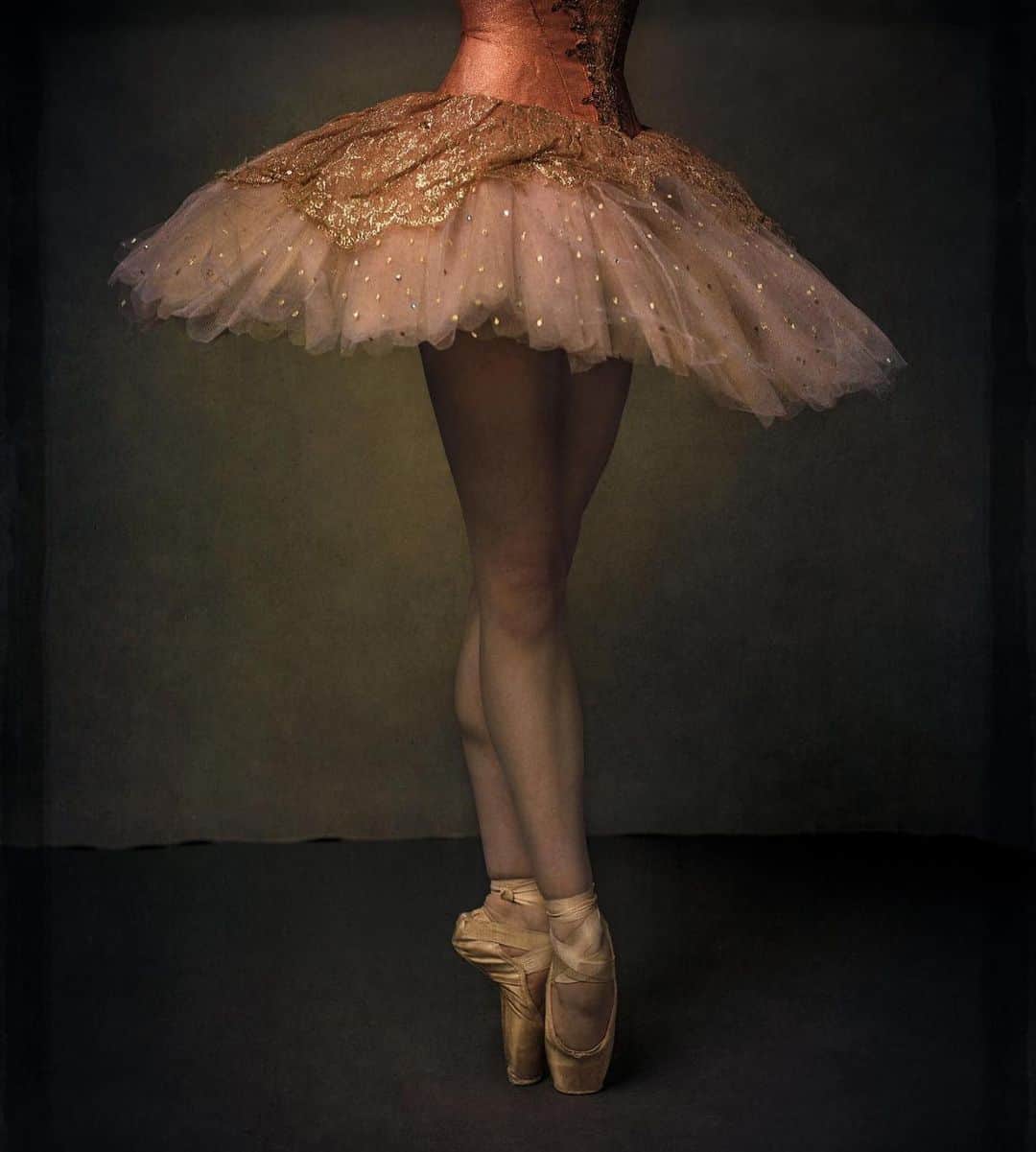 Ballet Is A WorldWide Languageさんのインスタグラム写真 - (Ballet Is A WorldWide LanguageInstagram)「How beautiful 😍 @_everlarson_ by @barbaramacferrin 💗  #everlarson #barbaramacferrinphotography #worldwideballet 🤗💗✨」2月19日 0時38分 - worldwideballet