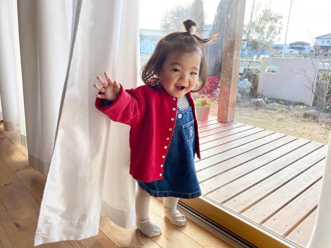 aco.さんのインスタグラム写真 - (aco.Instagram)「2021.2.19  カーテンから 「ばぁー！」って出てきたところ🧒🏻  最近、暇があれば「ばぁー！」ってやっています😁  pic4（動画2） 「思ってたんと違う」みたいな笑  pic5（動画3） 急に寝る😪笑  pic6 郷ひろみばりのカーディガンさばき😂  pic8.9 チキンナゲットのように ボールをカップにディップしながらモグモグしているところ  pic10 そして寝る、とにかく丸い  最近、感情表現も豊かになり 起きている間の全力感が凄いです  お陰様で、かーさんも 全力で付き合わせていただいてます😂✨ . . . @carryon_official さんにお声掛け頂き 服を選ばせていただきました☺️ （カーディガンとジャンパースカート）  #カーディガン　#agnesb  #ジャンパースカート　#mikihouse  #タイツ　#バースデイ #インナー　H&M  #キャリーオン で扱われている 数万点のused子供服（マタニティも有り）から選ぶのは 目移りしてとても悩んだけど 憧れの#アニエス のカーディガンを♡  これ、1000円だったんですけど😳 状態は☆3つでしたが、 気になるレベルではなくお得すぎる  ジャンパースカート姿もたまらんですね♡  赤ちゃんの頃から大きくなったら デニムのジャンパースカートを着せたかったんです☺️  春になったらこれ着て公園や動物園に行きたいな〜 . . . お下がりとは違って 古着には少し抵抗があったけど pr関係なくキャリーオン、ハマりそうです笑 . . . @carryon_official では買取もしています  また、コーデコンテストも毎月実施中♪  https://guide.carryonmall.com/instagram/  全品20%offになる 友達紹介クーポンもありますので 気になる方は是非お使い下さいね〜👚 クーポン→【invite20】 . . . . . #pr  #aco子育て記録 .」2月19日 0時42分 - aco.chaaaaan