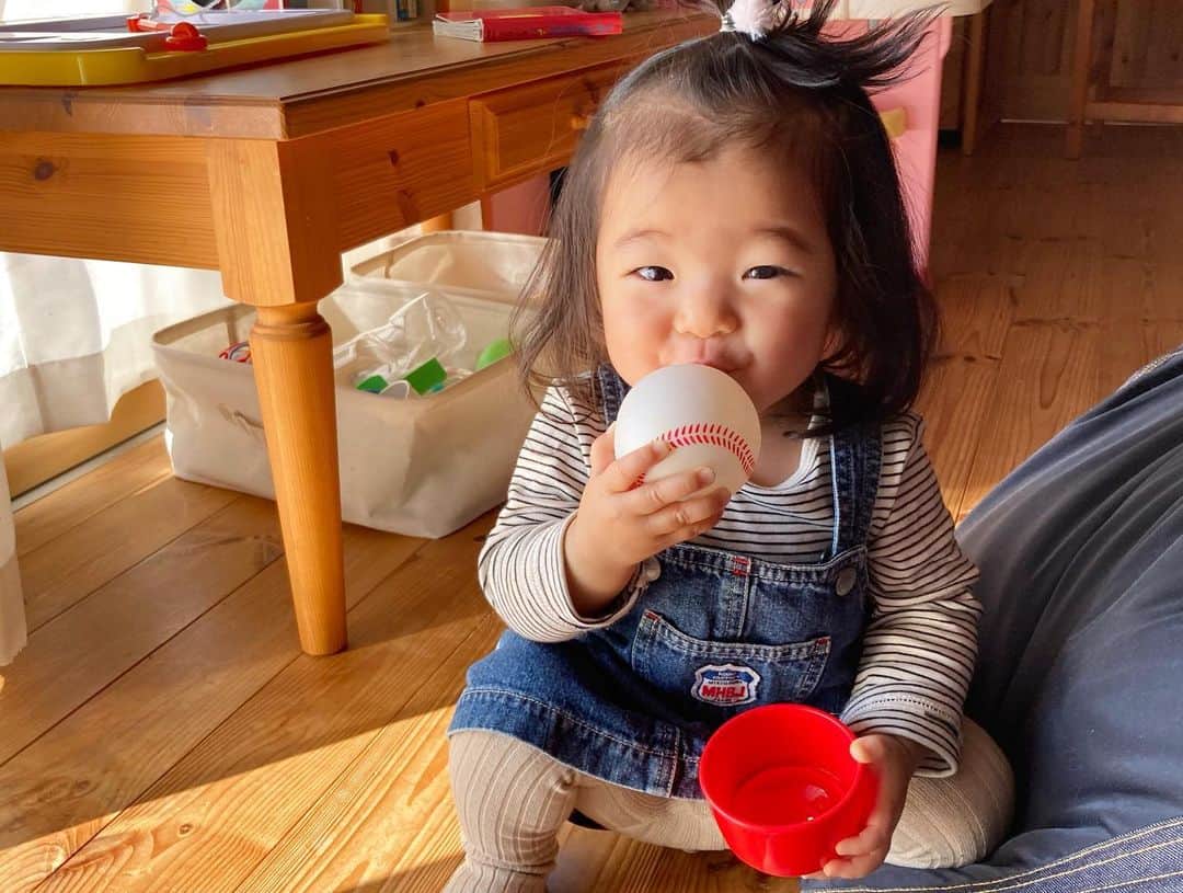 aco.さんのインスタグラム写真 - (aco.Instagram)「2021.2.19  カーテンから 「ばぁー！」って出てきたところ🧒🏻  最近、暇があれば「ばぁー！」ってやっています😁  pic4（動画2） 「思ってたんと違う」みたいな笑  pic5（動画3） 急に寝る😪笑  pic6 郷ひろみばりのカーディガンさばき😂  pic8.9 チキンナゲットのように ボールをカップにディップしながらモグモグしているところ  pic10 そして寝る、とにかく丸い  最近、感情表現も豊かになり 起きている間の全力感が凄いです  お陰様で、かーさんも 全力で付き合わせていただいてます😂✨ . . . @carryon_official さんにお声掛け頂き 服を選ばせていただきました☺️ （カーディガンとジャンパースカート）  #カーディガン　#agnesb  #ジャンパースカート　#mikihouse  #タイツ　#バースデイ #インナー　H&M  #キャリーオン で扱われている 数万点のused子供服（マタニティも有り）から選ぶのは 目移りしてとても悩んだけど 憧れの#アニエス のカーディガンを♡  これ、1000円だったんですけど😳 状態は☆3つでしたが、 気になるレベルではなくお得すぎる  ジャンパースカート姿もたまらんですね♡  赤ちゃんの頃から大きくなったら デニムのジャンパースカートを着せたかったんです☺️  春になったらこれ着て公園や動物園に行きたいな〜 . . . お下がりとは違って 古着には少し抵抗があったけど pr関係なくキャリーオン、ハマりそうです笑 . . . @carryon_official では買取もしています  また、コーデコンテストも毎月実施中♪  https://guide.carryonmall.com/instagram/  全品20%offになる 友達紹介クーポンもありますので 気になる方は是非お使い下さいね〜👚 クーポン→【invite20】 . . . . . #pr  #aco子育て記録 .」2月19日 0時42分 - aco.chaaaaan
