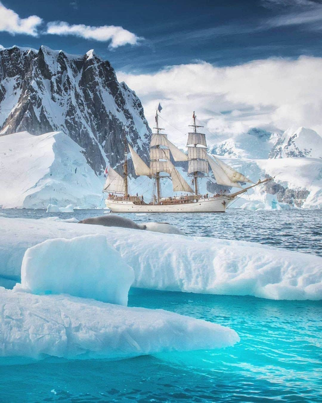 Discover Earthさんのインスタグラム写真 - (Discover EarthInstagram)「Do you also dream of discovering Antarctica by sailing boat?  "Inspired by stories by Shackleton, Amundsen, Nansen, Scott I was always fascinated by endurance and strength of polar explorers. Since my early childhood I dreamt to visit Antarctica. And I did it in the most amazing way - on Bark Europa! Beautiful Dutch sailing boat, with white sails, classical helm and a good hundred of ropes to pull in the sea. One of the most adventurous journeys I've ever had in my life!"  🇦🇶 #discoverantarctica  with @danielkordan   . . .  #sailing  #sail  #sailboat  #antarctica  #travel  #penguin  #nature  #ice  #adventure  #penguins  #antarctic  #wildlife  #expedition  #photography  #africa  #naturephotography  #iceberg  #snow  #europe  #southpole  #animals  #cold  #antarcticadventure  #travelgram  #asia  #polar  #natgeo  #travelphotography  #wanderlust」2月19日 1時00分 - discoverearth