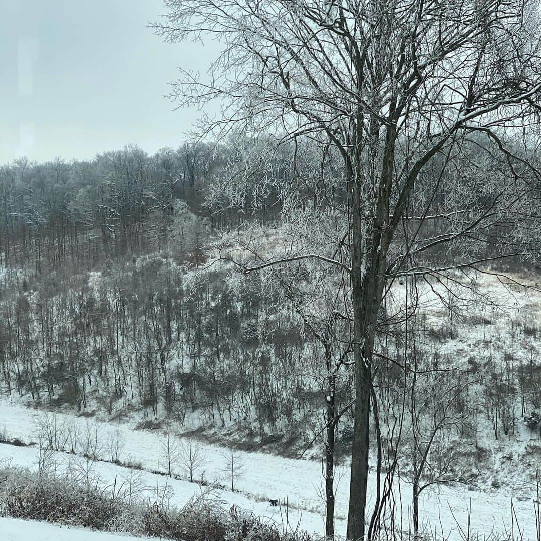 のインスタグラム：「Morning views! ❄️」