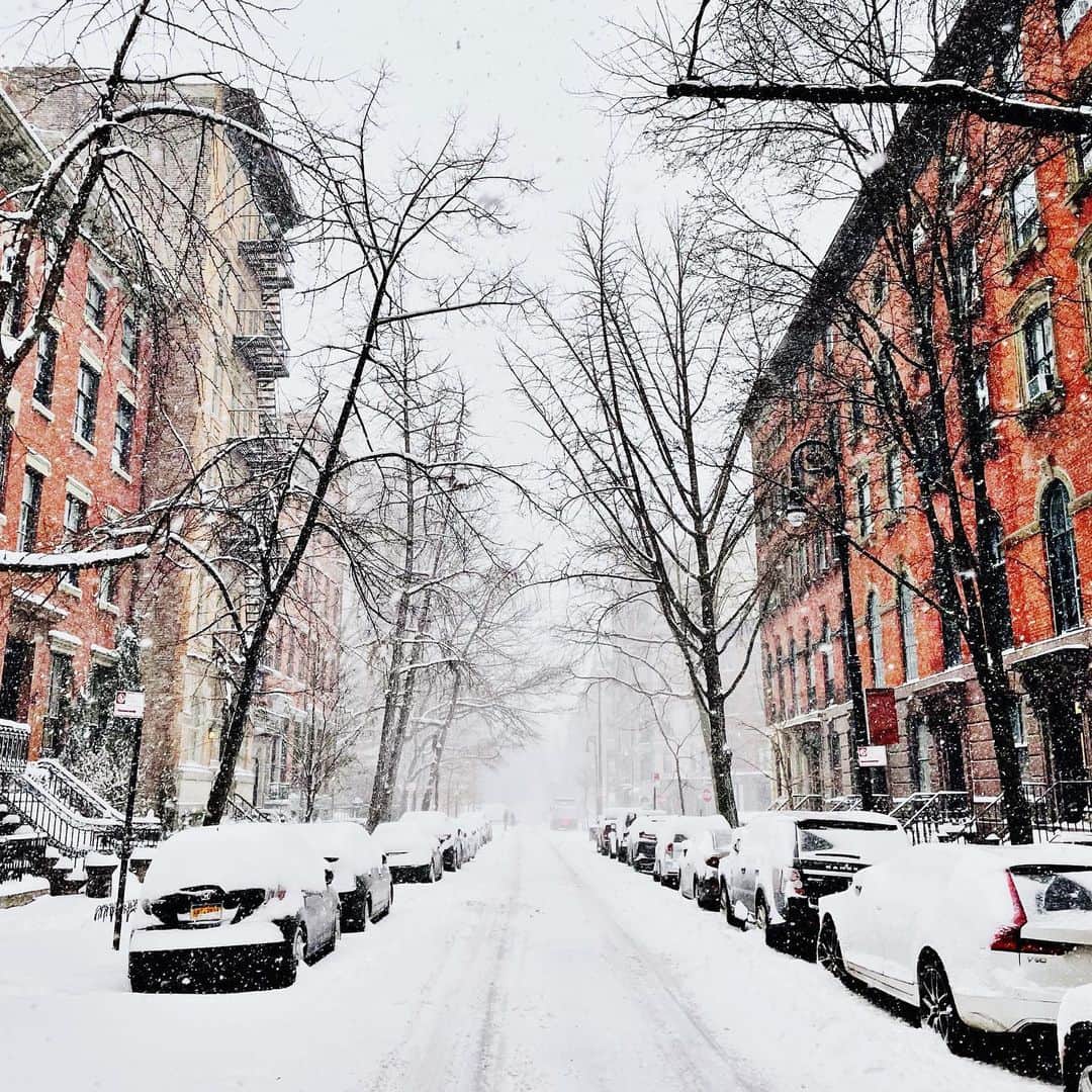 Ilana Wilesのインスタグラム：「The best thing about more snow in NYC is that it covers the old yucky snow sludge underneath. Everything looks pristine and Instagram perfect for the day and then tomorrow the sludge will be revealed again. FYI, so far, we have raised $3436 through $2 donations to help people without shelter braving the winter storms in Texas. All money raised will go to mutual aid funds like @austinmutualaid, @mutualaidhou and @feedthepeopledallas. Obviously if you want to make your own donation directly, that’s amazing! I just like to give everyone the opportunity to collectively make a larger impact. I am going to continue collecting until 7pm tonight. Just Venmo $2 to ilana-wiles or you can sent to ilana@mommyshorts,com on PayPal! // Update: the fundraiser is over. We raised $4702!」