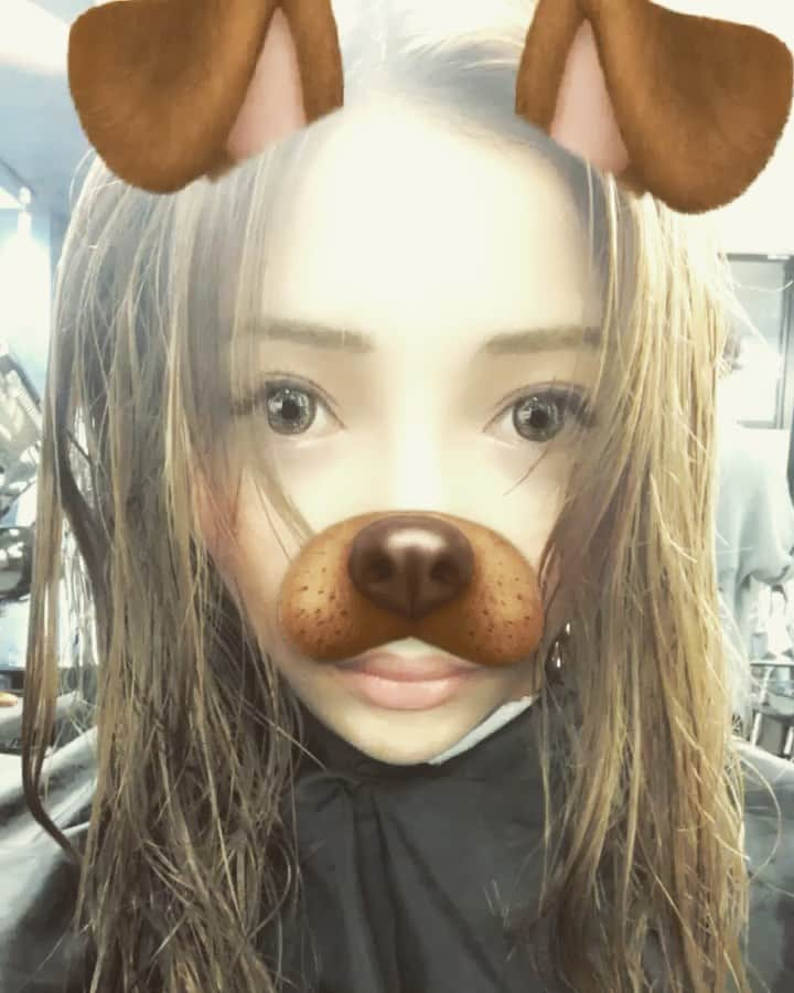 しゅんちゃん（RUI）のインスタグラム：「眉毛だけ描いたけどね このイッヌが盛れてねー 意外と好評だった動画🐶 #snapchats#予約時間に家を出る#美容室#だいたいそう」