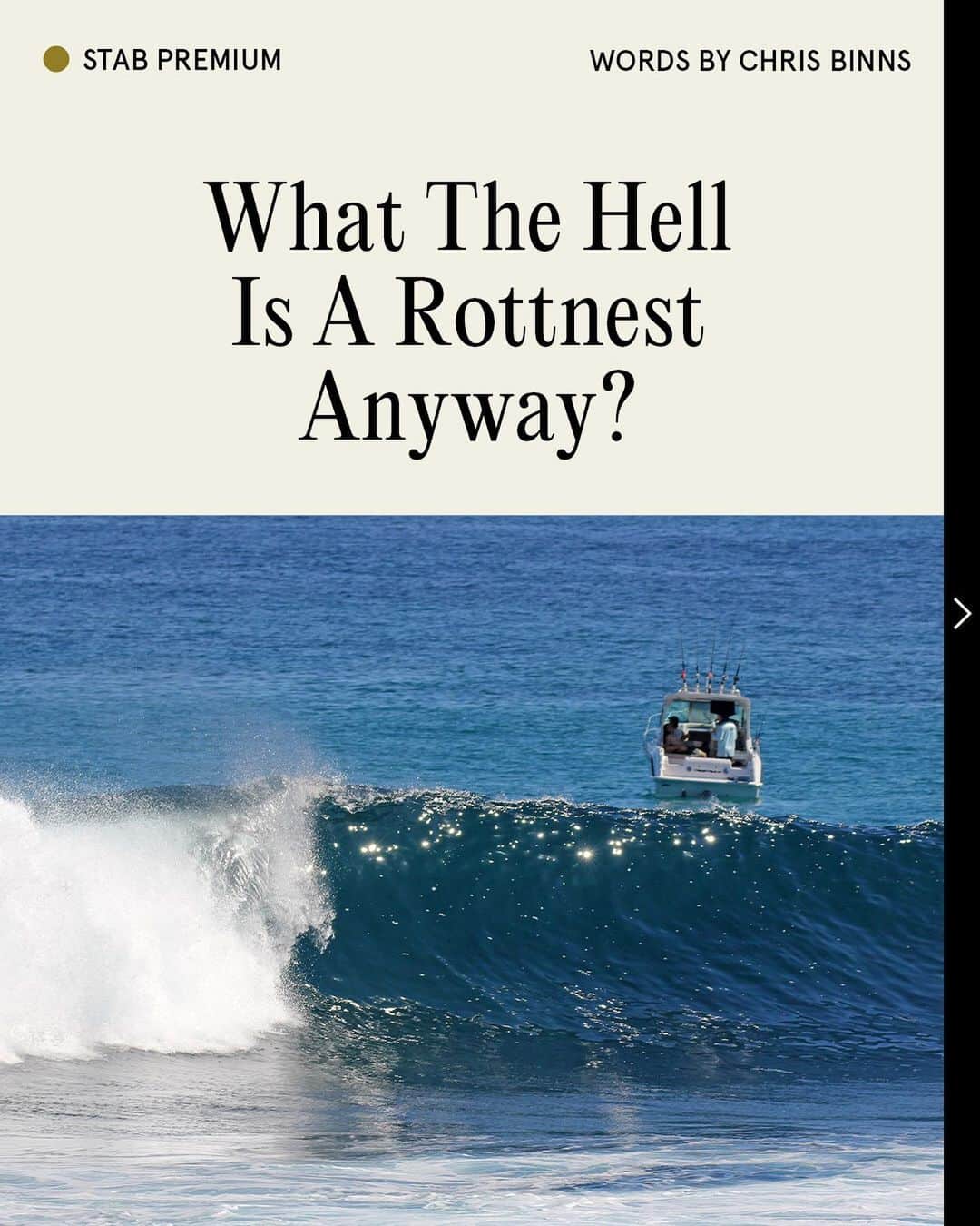 Surf Magazineのインスタグラム：「Want to know more about the new Rip Curl Search destination, Rottnest Island? So did we.   Local-ish writer @binnstagram gives us an extensive run-down on the joint (with cameos from @snaketales and more). Link in bio.」