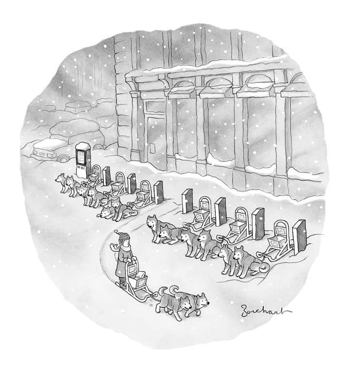 The New Yorkerさんのインスタグラム写真 - (The New YorkerInstagram)「Pick of the litter. #NewYorkerCartoons 🖋 David Borchart」2月19日 3時16分 - newyorkermag