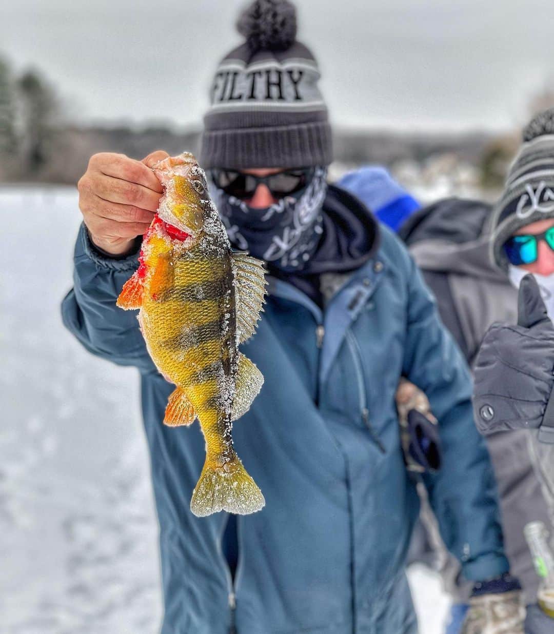 Filthy Anglers™のインスタグラム：「Got a few of the Filthy fellas on the ice for the first time this past Monday.  We hit up a local lake in Massachusetts, drilled some holes, had some beverages, ate some jerky, had a number of laughs and caught some decent perch. I can’t take credit for this perch although I’m holding it, was a team effort with @brentoak25 leading the way wrangling this perch in. It was 1.25lbs, pretty decent right! Ice fishing really isn’t my thing to be honest, but hanging out with a group of good friends on the ice, sign me up! Thanks to everyone who joined, looking forward to the next one! Photo credit @mrskillz978 www.filthyanglers.com #fishing #bassfishing #icefishing #ice #massachusetts #bass #perch #angler #snow #winter #filthyanglers」