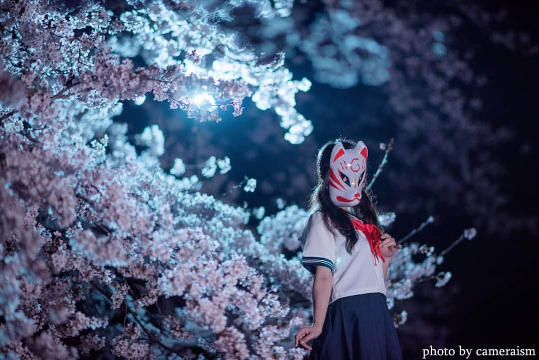 高橋さくらのインスタグラム：「* *  ヨルノオハナミ  * * こんな古いのアップしてって怒られそう笑  6年前とかの作品w 今年の春はどこに行こうかー？笑  #hubsplanet #raw_community_member #ig_phos ﻿ #pasha_magazine #lovers_nippon_ #japan_night_view_member #lbj_legend #tokyocameraclub﻿ #rox_captures #lap_2020 #color_de_saison #jp_portrait部 ﻿ #lovers_amazing_group #love_camera_club #nipponpic #jp_mood #daily_photo_jpn #team_jp_ #photo_jpn #as_archive #vivid_impact  #art_of_japan_ #japan_daytime_view #bestjapanpics #love_bestjapan  #good_portraits_world #japan_bestpic_」