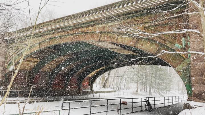 スコット・ローウェルのインスタグラム：「Snowbridge」