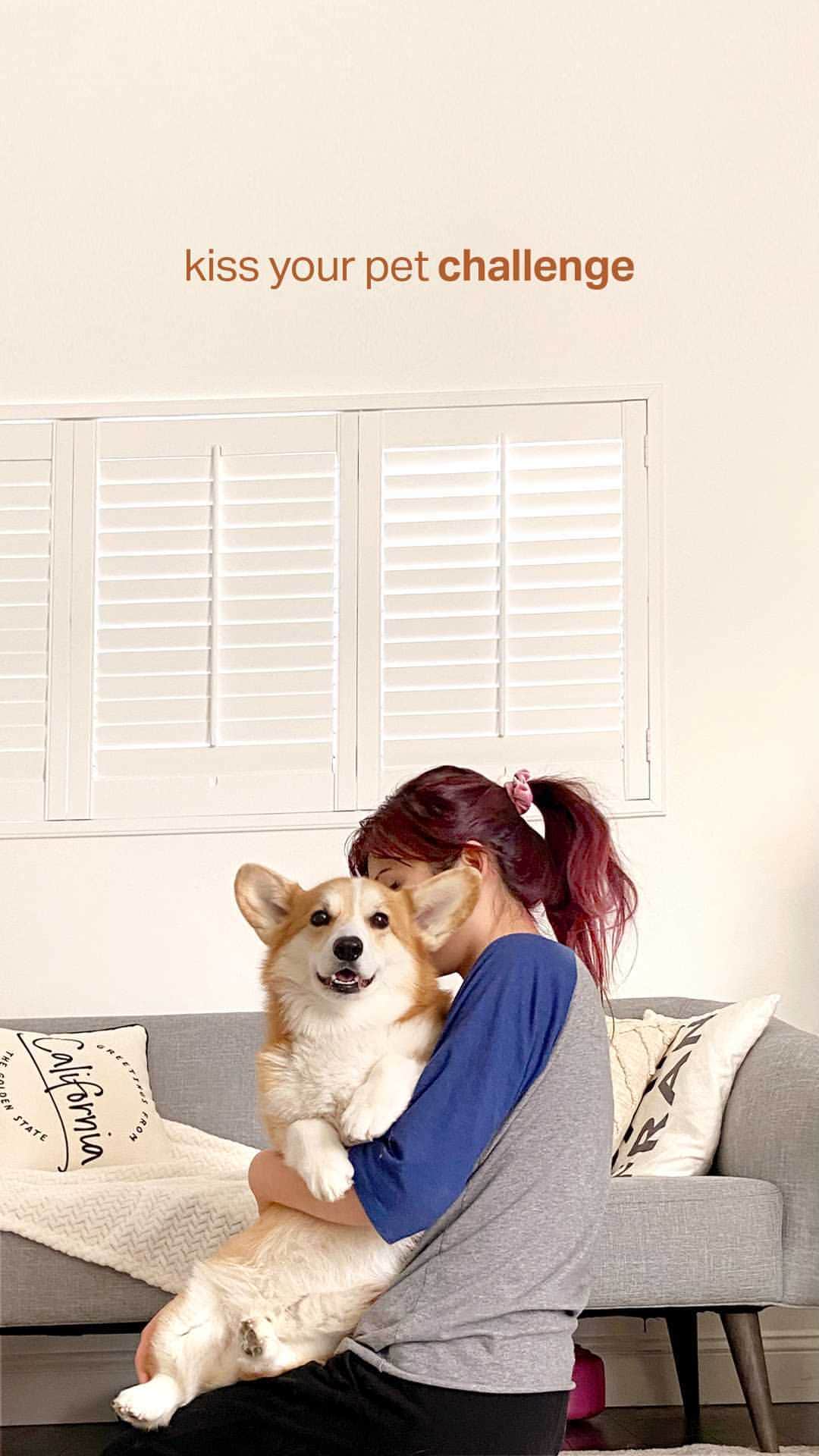 のインスタグラム：「typical corgi response, amirite?! 😭 #kissyourpetchallenge」