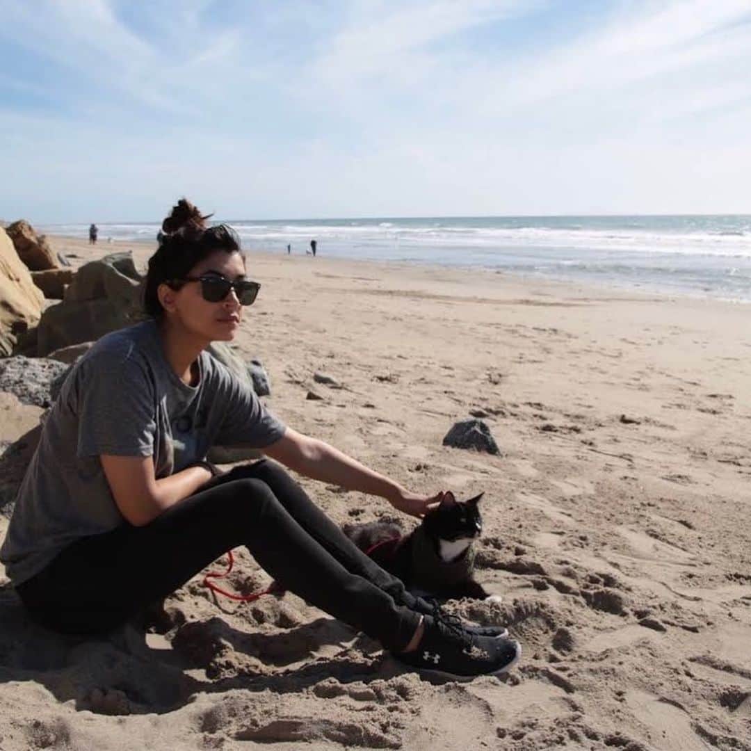 ハンナ・シモンのインスタグラム：「Five years ago on a whim, Jesse and I packed up my two geriatric house cats and decided to take them on the adventure of a lifetime. We rented an RV and drove up the coast. Even tho little Frankie is blind and big Jake is senile, I wanted them to be able to walk in the forest and smell the ocean in these later years.. something about that trip truly changed my connection to these sweet old men I get to do life with. swipe to see Frank holding on to me so tight the first time he heard the Pacific Ocean...AND YES I KNOW I AM INSANE FOR TAKING MY CATZ ON A ROADTRIP PLZ SHARE INSANE THINGS YOU HAVE DONE WITH YOUR PETS SO THE INTERNET KNOWS I AM NOT ALONE PLZTHX @havecatzwilltravel @jessegiddings 😻😻😻」