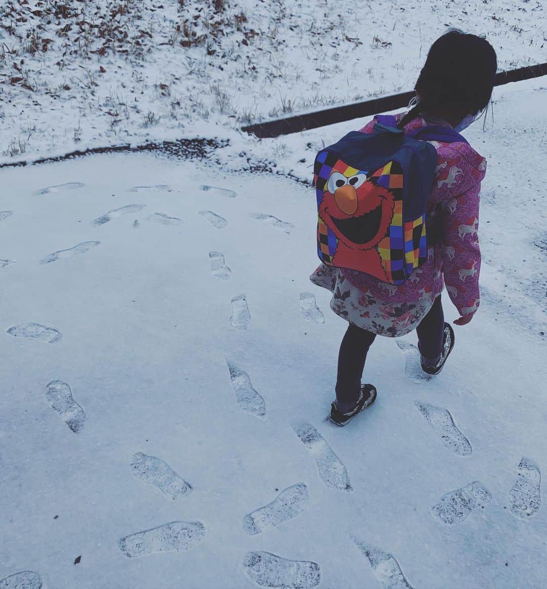 齊藤美絵さんのインスタグラム写真 - (齊藤美絵Instagram)「これはエンドレスに ぐるぐる歩きたいよね🐾  #大分　#竹田　#育児　#childcare #4yearsold #❄️ #oita #taketa #ツタエルヒト。」2月19日 5時54分 - saitomie