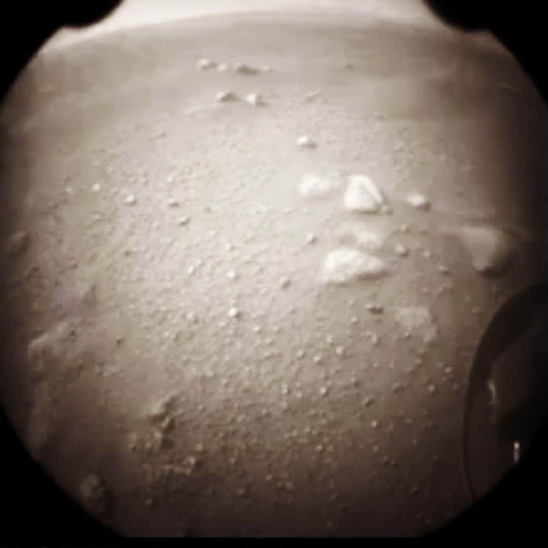 ブライアン・メイさんのインスタグラム写真 - (ブライアン・メイInstagram)「WOW !!!! 💥💥💥💥 First transmitted photo from PERSEVERANCE now safely landed on Mars.  CONGRATULATIONS to Jim Bell and the entire Perseverance team.  NASA/JPL-Caltech rocks !!! Bri」2月19日 6時17分 - brianmayforreal