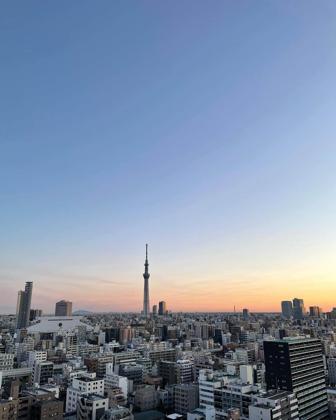 猫沢エミさんのインスタグラム写真 - (猫沢エミInstagram)「ひどい副詞の兄貴が、妹の形容詞を食い物にして働かせている…という、文法と三文劇が混じった珍妙な夢をみて目が覚める。  加えてイオちゃんが妙にハッスルして、夜中雄叫びをあげながら徘徊しているので、ごはんかな？と思って起き出してあげてみるも、ごはんではないらしい。  ベッドに戻ってうとうと浅く眠った夢で、イオの先生に「どうしたらいいでしょうか？」と相談する自分がいた。先生は「落ち着いて。イオちゃんを尊重して。そして病院へ連れてきてください。」と言った。そこでまた、ハッスルイオちゃんの雄叫びで目が覚めた。  母の最終介護期を思い出す。  24時間、携帯をオフにすることができなかったあの頃。病院からの緊急連絡があったら夜間でもすぐに動けるように、神経がずっと起きていた。　  イオのなかの生命力が死に対抗している。  私もふんばりどきだな。  #東京下町時間　#イオの扁平上皮ガン日記」2月19日 6時30分 - necozawaemi