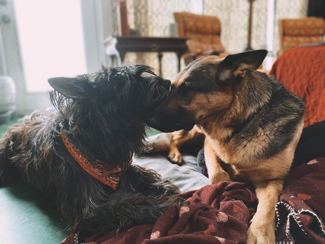 カイル・ガルナーのインスタグラム：「Puppy love.」
