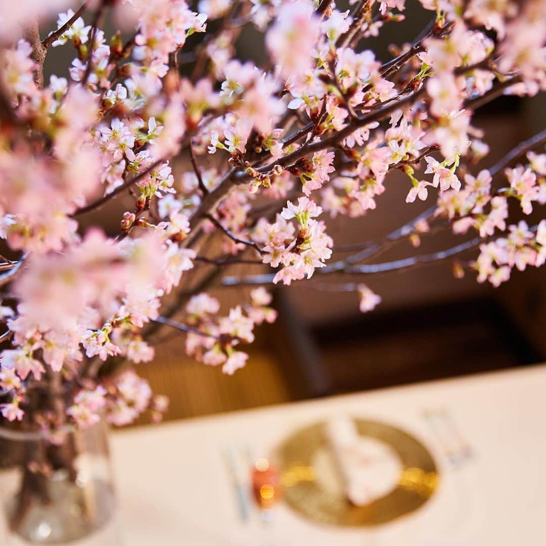InterContinental Tokyo Bayさんのインスタグラム写真 - (InterContinental Tokyo BayInstagram)「. プライベートな空間で、桜を愛でながら春を彩る桜フルコースを堪能するプランが登場🌸 . イタリアンダイニング ジリオンでは、シェフの色彩に富んだ馬肉カルパッチョや桜海老パスタ、塩釜で焼き上げた桜鯛に、牛フォアグラなど贅沢感溢れるフルコースディナーを、ゆったりと2時間のフリードリンクとともにお楽しみいただけるコースをご用意いたしました。  飛沫感染防止パネルをご希望の場合は設置も可能です。  ⭐️10名様以上でご予約頂いた場合、ラ・プロヴァンスのアフタヌーンティーコースプラン ペアチケットを１枚プレゼント🎁 . #intercontinentaltokyobay  #intercontinental  #インターコンチネンタル東京ベイ  #ホテルインターコンチネンタル東京ベイ  #イタリアンダイニング #ジリオン  #italian #italiandining #zillion #桜 #🌸　#cherryblossom  #個室 #個室ディナー  #個室ランチ #個室でゆっくり  #お花見　#花見  #ホテル #飛沫防止パネル」2月19日 6時56分 - intercontitokyobay
