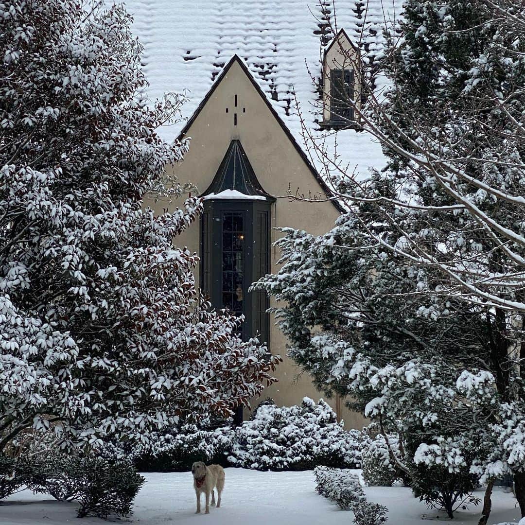 ミシェル・ブランチのインスタグラム：「It’s a beautiful snowy day in Nashville but I can’t stop thinking of Texas. People have been left freezing without power, water and are running out of food, gas and many essentials. The next slide has some Venmo links to donate $$ if you can. Please feel free to post below if you know any other ways to help. #helptexas  infographic by  @daybrighten」