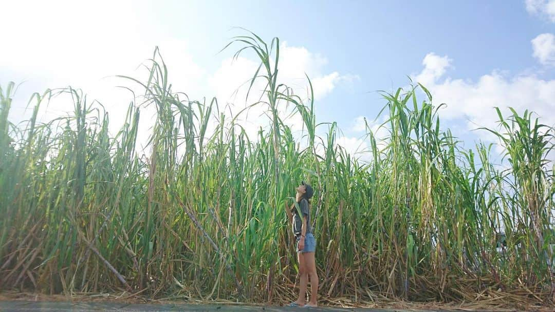 奥村真友里のインスタグラム