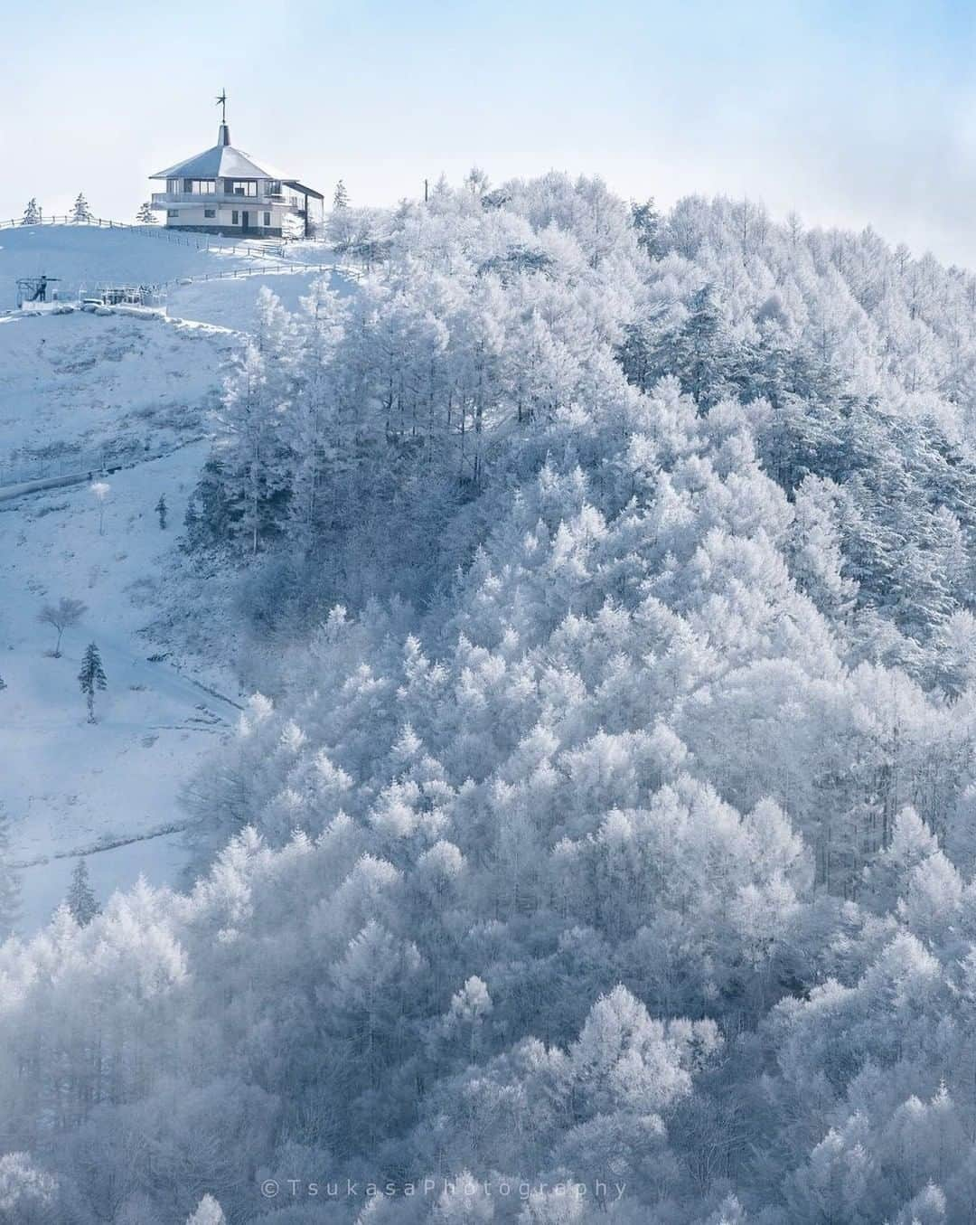 ?長野県 観光 公式インスタグラム さんのインスタグラム写真 - (?長野県 観光 公式インスタグラム Instagram)「// Photo by @tsukasa_camera ﻿ Hijiri Kogen (Omi Village)  During winter, the plateaus of Hijiri Kogen are covered completely in a delicate layer of frost.  It is only thanks to the harsh cold of this season that we can see such beautiful, pure-white scenery, especially popular with photographers.   ＝＝＝＝＝＝＝＝＝﻿ ﻿ 純白の森が広がる 「聖高原」 ＠麻績村  冬季に美しい霧氷が あたり一面に広がる 「聖高原」❄️  厳しい寒さと 引き換えにできた純白の世界は 県内でも有数の 撮影スポットでもあります📸  ＿＿＿＿＿＿＿＿＿　﻿ ﻿ Location / Omi Village, Nagano , Japan ﻿ ﻿ #おうちでながの﻿ #長野のいいところ ﻿ #聖高原 #麻績村 ＿＿＿＿＿＿＿＿＿ ﻿ ﻿ 📸インスタアワード作品募集中⛄️  #長野の車窓から #長野の雪遊び 撮影場所(長野県内に限ります)  をキャプションに入れて 応募期間（12/28～2/28﻿）に投稿してください。 優秀作品に選ばれると 長野県特産品セットをプレゼント🎁  詳しくはプロフィールのリンクからご覧ください﻿。」2月19日 17時00分 - nagano_japan