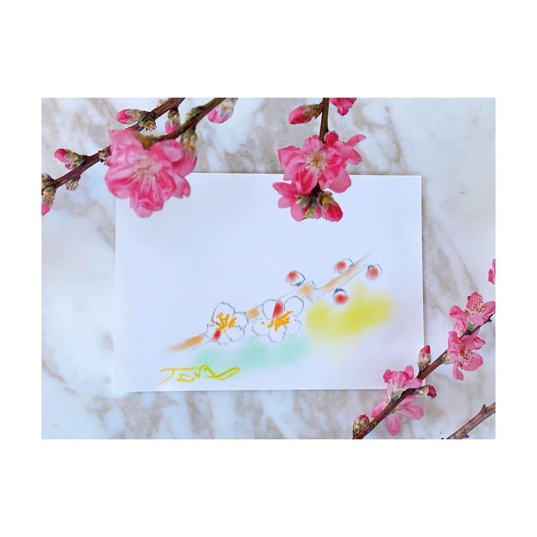 神田うのさんのインスタグラム写真 - (神田うのInstagram)「片岡鶴太郎さん💕から『温かい陽の光を浴びて春の訪れを告げてくれております』と心和む可愛らしい梅の絵を贈って頂きました☺️✨ 感激です😍そしていつも素敵なお心遣いに感謝です❤️ ありがとうございます☺️✨ 我が家に今日から飾っている桃の花と一緒に❤️ 鶴太郎さん💕は最近Instagramを始められたばかりですので是非皆様💕チェックされてみて下さいね☺️ @tsurutaro_kataoka_official   #片岡鶴太郎 さん#梅の花#梅#原画#ありがとうございました#感謝#感激です#ありがとうございます#素敵な贈り物#桃の花#梅と桃#春の訪れを告げる#花#春の訪れ#神田うの#unokanda」2月19日 17時17分 - unokandaofficial