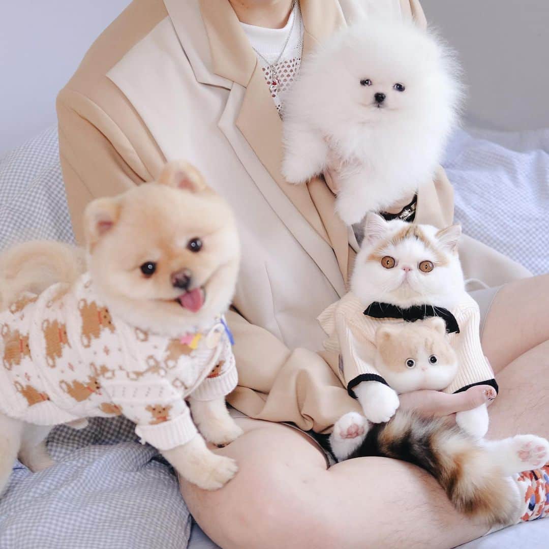 むじさまのインスタグラム