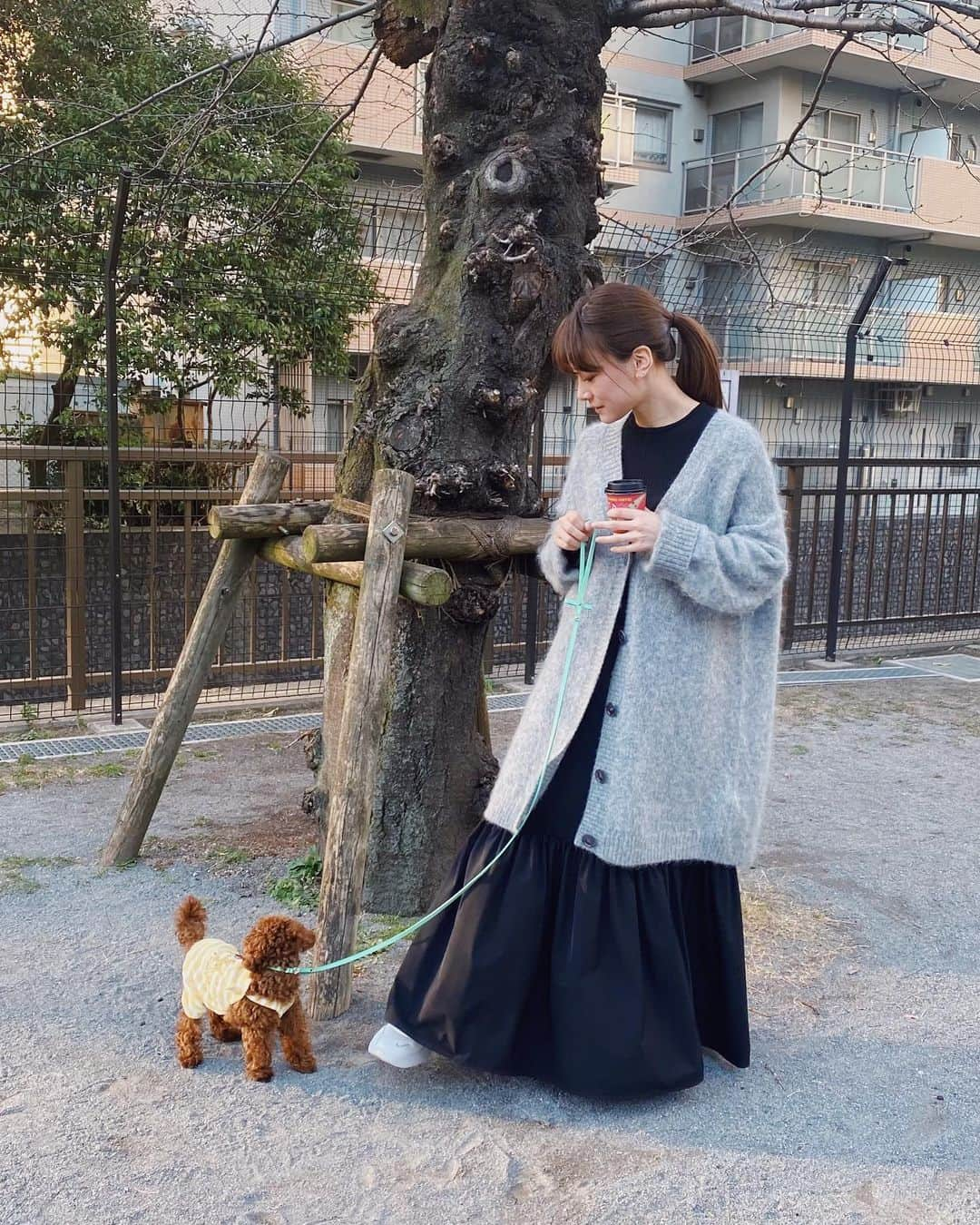 福岡みなみさんのインスタグラム写真 - (福岡みなみInstagram)「お散歩🐶」2月19日 18時01分 - fukuokaminami373