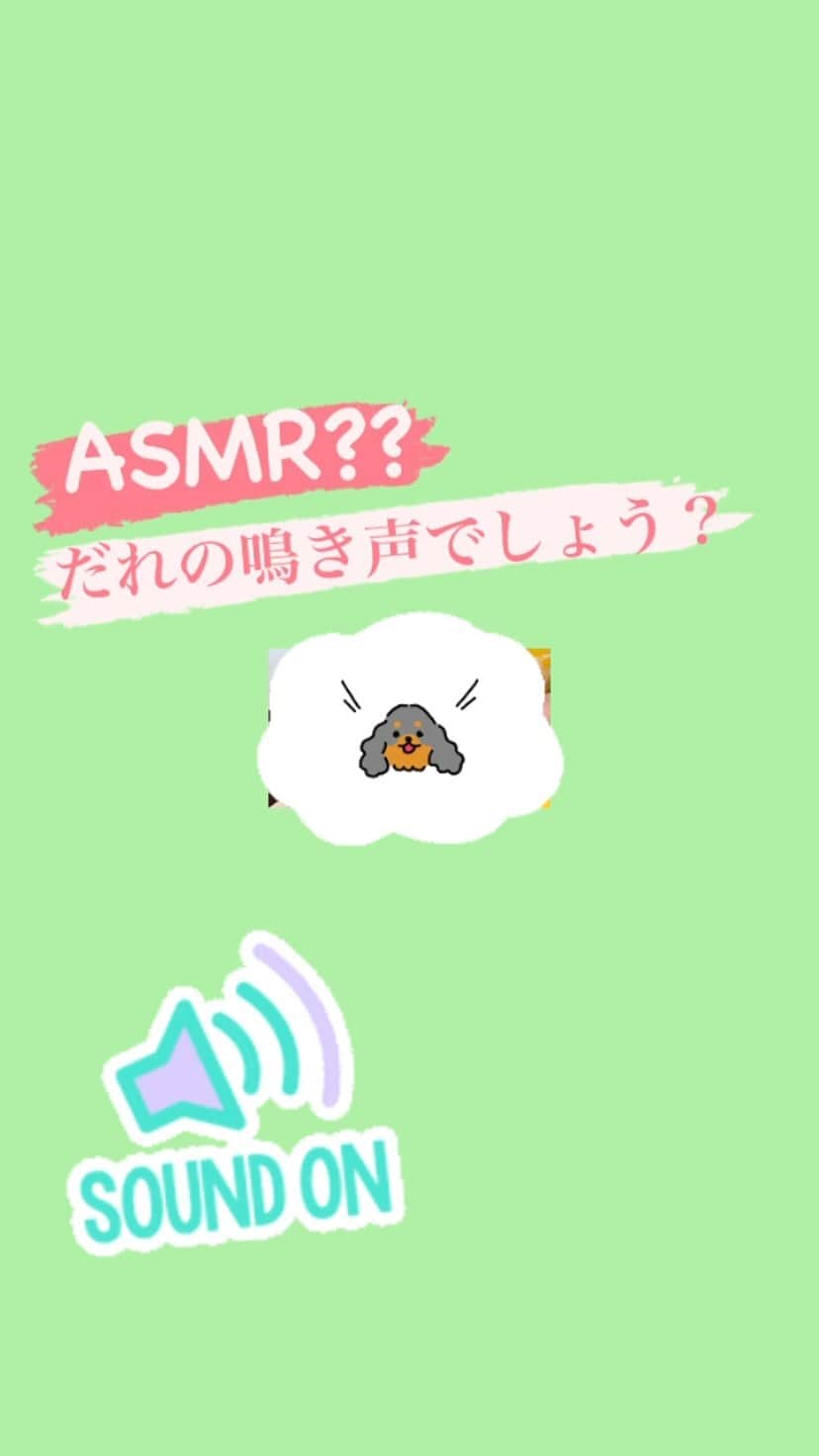 【公式】福岡ECO動物海洋専門学校のインスタグラム：「イヤホン推奨🎧 誰の鳴き声か当ててみてね！🙋‍♀️ #分かったらすごい #福岡eco #福岡eco動物海洋専門学校 #動物 #asmr #音フェチ #動物の鳴き声 #animal」