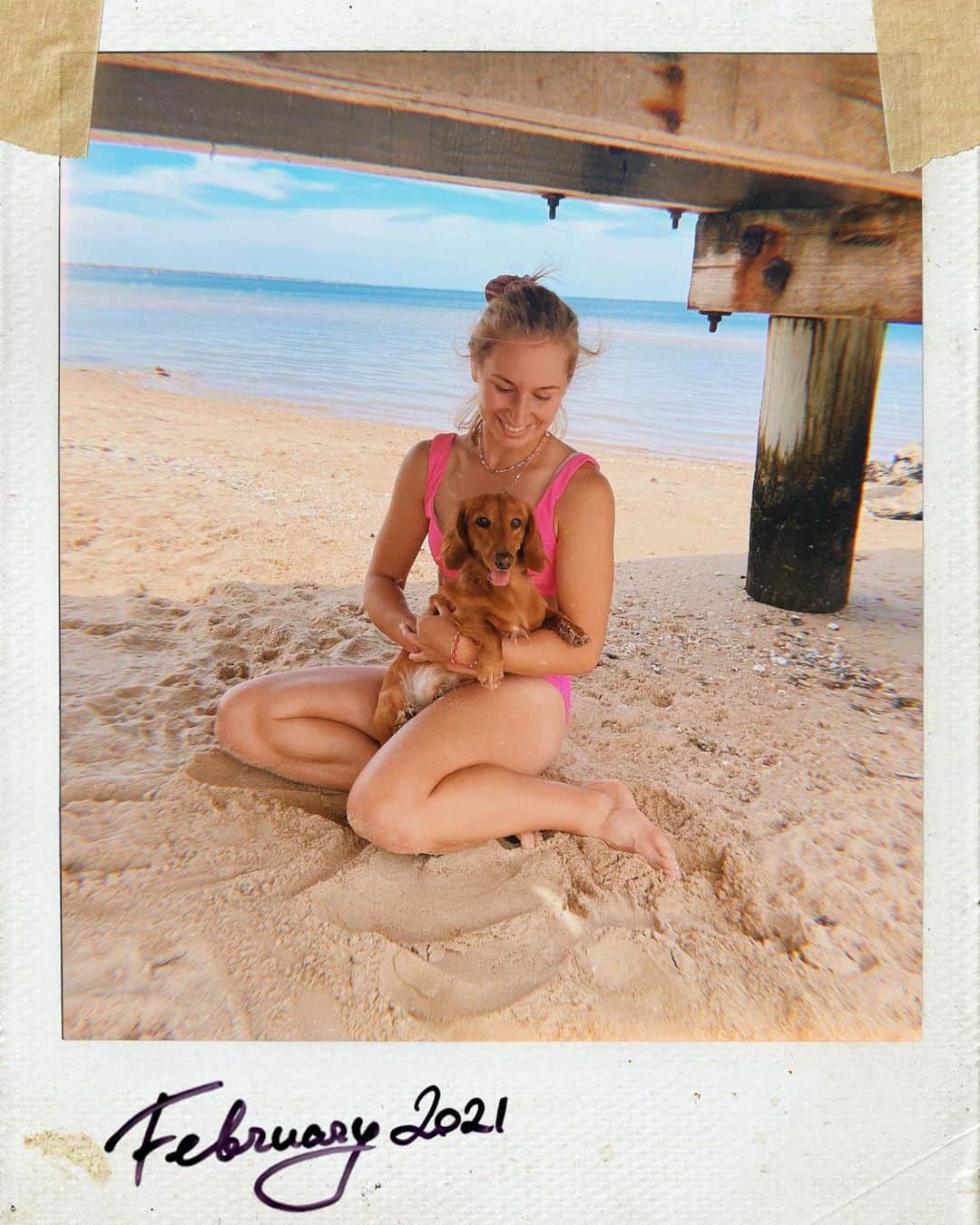 のインスタグラム：「Tofu has no idea how lucky he is that I’m now staying home 😅🥰」