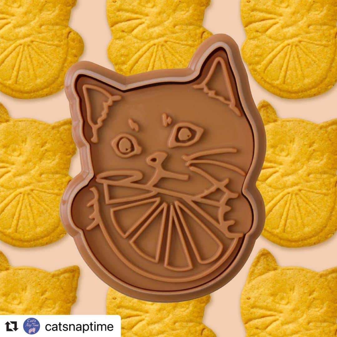 Afternoon Teaさんのインスタグラム写真 - (Afternoon TeaInstagram)「#Repost @catsnaptime with @make_repost ・・・ ・ 【2/20～オリジナルクッキー型プレゼント第2弾がスタート！】 #cats_naptime6  Cat’s NapTimeのアイテムをお買い上げで、ティータイムが楽しくなるプレゼントをご用意しました。  📍オリジナルクッキー型 第2弾：2/20～START！ 第1・2弾合計で先着5,000名様(全国合計)にオリジナルクッキー型(非売品)をプレゼント！ ※第1弾は終了いたしました。  店舗とオンラインショップでは運用が異なります。 ✔【店舗】「Cat’s NapTime」アイテムを￥3,000(税別)以上ご購入でプレゼント。 ✔【オンラインショップ】「Cat’s NapTime」アイテム含むお買い上げ￥3000(税別)以上ご購入でプレゼント。 ※なくなり次第終了となります。 ※お一人様1点限り。オンラインショップでは、一注文につき1点限り。 ※オンラインショップでは、第2弾は2/20 12:00～予定です。 ※クッキーの焼き上がりはイメージです。  詳しくはこちらのリンクからもご覧いただけます。 ➡@catsnaptime  ※店舗によって、臨時休業、一部営業時間変更の場合がございます。 各店舗の休業・営業再開・営業時間の変更につきましては、各商業施設のホームページ等でご確認ください。お客様には大変ご不便をおかけし申し訳ございませんが、何卒よろしくお願い致します。  #catsnaptime #AfternoonTea #AfternoonTeaLIVING #アフタヌーンティー #アフタヌーンティーリビング #catsissue #FRUITSTEAPARTY #サバ美 #オリジナルクッキー型 #クッキー型 #非売品 #ノベルティ #プレゼント」2月19日 9時55分 - afternoontea_official