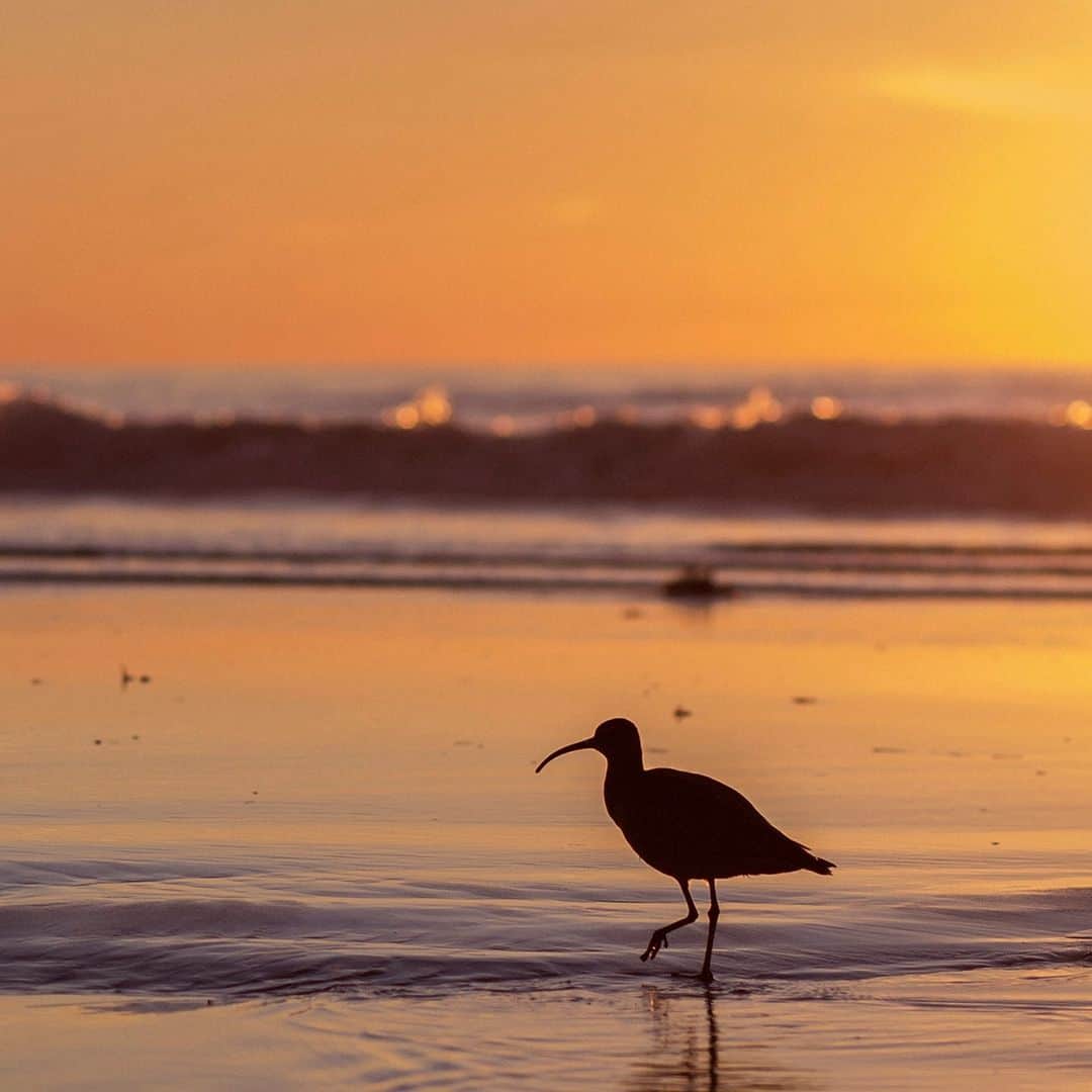 ニクソンのインスタグラム：「A sunset sesh is always worth it #Nixon #TakeOnTheWorld」