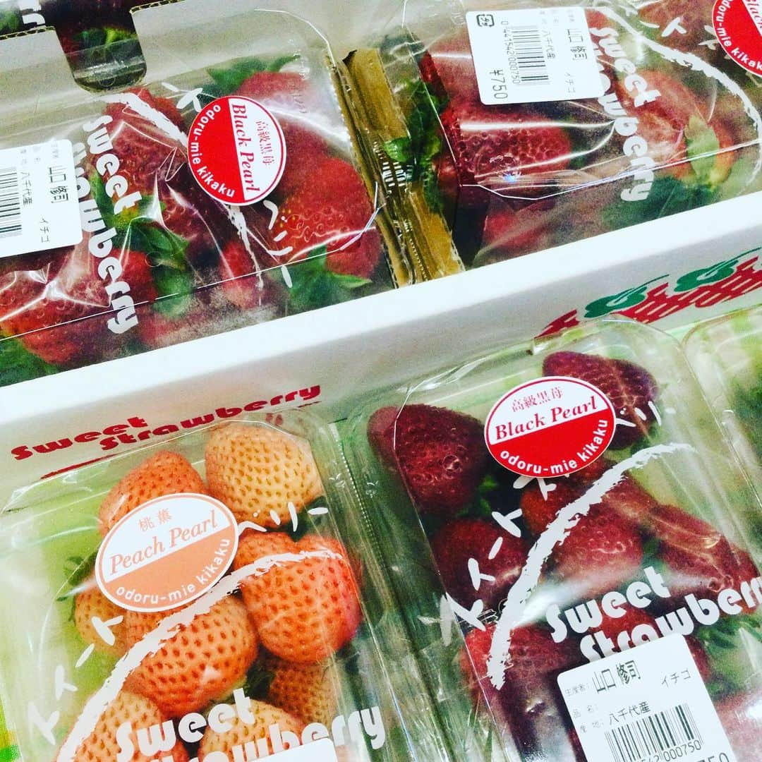 道の駅やちよさんのインスタグラム写真 - (道の駅やちよInstagram)「おはようございます！ 八千代産🍓黒いちご🍓真紅の美鈴　入荷しました！ 果肉の中まで赤く味も美味しいです✨ 桃の香りがする🍓桃薫(とうくん)も！ 是非この機会にお買い求めください。  #道の駅 #道の駅やちよ #真紅の美鈴 #桃薫#イチゴ #八千代市 #農産物直売所 #旬の果物 #春 #新鮮 #地産地消」2月19日 10時39分 - michinoeki_yachiyo090720