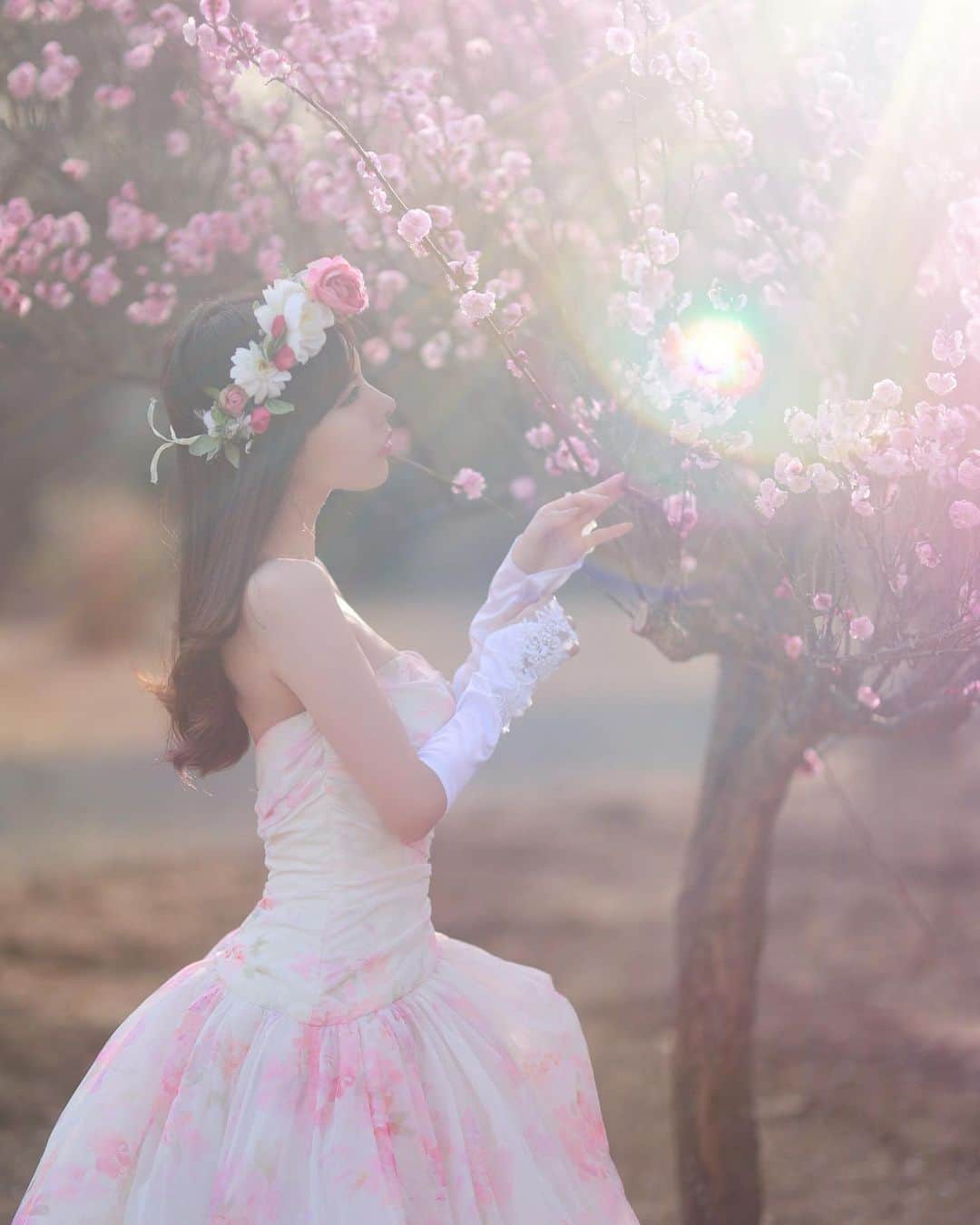 舘林佳史のインスタグラム：「梅の花🌸ファンタジ〜プリンセス🥰💓  宣材プロモーション撮影受け付け中〜😘  ﻿ ﻿誰でも物語の主人公になれるをキャッチコピーに﻿ ドラマや映画の物語のワンシーンの様なDramaticStoryPhotと言う名前で活動作品作りをしています。﻿ ﻿ 大好評のドラマティックフォトのご依頼はこのクオリティーで30000円〜(ほぼ諸経費)で受け賜わっています)^o^( ﻿ ﻿ 素敵な作品を一緒に作りたい！コラボレーションしたい 美容師・メイクアップアーティストさん ・服飾デザイナーさんクリエイターさんも随時募集中です✨﻿ ﻿ お姫様になりたい👸物語の主人公になってみませんか^ ^⁉︎.﻿ ﻿ ﻿ たった一枚の写真で人生が変わる‼️﻿ ﻿ ﻿ ✨作品作り体験モデルに興味がある方 ドラマティックフォト依頼 撮影依頼 体験モデル募集﻿ ﻿ ①お名前②地域③年齢④身長⑤LINE ID⑥応募理由やお問い合わせ内容⑦最近の髪型スタイルの分かる写真をDMまたはメール下さい✨﻿ ﻿ 📩contact@dramaticphoto.jp﻿ ﻿ モデル宣材撮影 コンポジ Book作り プロフィール撮影 ブライダルフォト記念撮影 衣装レンタル 成人式 着物 ドレスロケーションフォト スチール サロンモデル撮影 写真集等撮影のご依頼何でもお気軽にお問い合わせDM下さい✨📩 .﻿ ༚┈❁┈༚༝༝༚┈❁┈༚༝༝༚┈❁┈༚༝༝༚┈❁┈ ༚༝༝༚┈❁┈ . ．﻿ #ファンタジー#ディズニー#プリンセス#シンデレラ#夢の国#シルエット#フォトジェニック#プロモーション撮影#静岡#ドラマティックストーリーフォト#インスタ映え#作品作り #撮影依頼#シューティング#撮影依頼募集中 #ファインダー越しの私の世界 #写真を撮るのが好きな人と繋がりたい  #ストロビスト#ポートレート#ポートレートモデル#モデル募集#被写体#カメラマン#フォトグラファー#photographer」