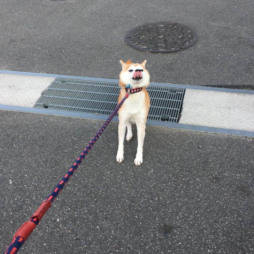 HALFBYのインスタグラム