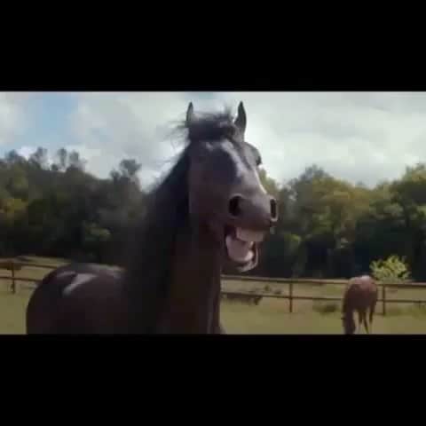 リッキー・カーマイケルのインスタグラム：「.......」