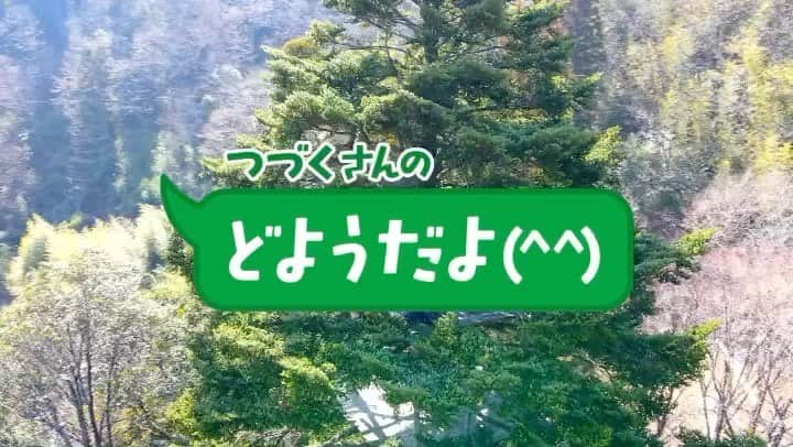 川島恵のインスタグラム