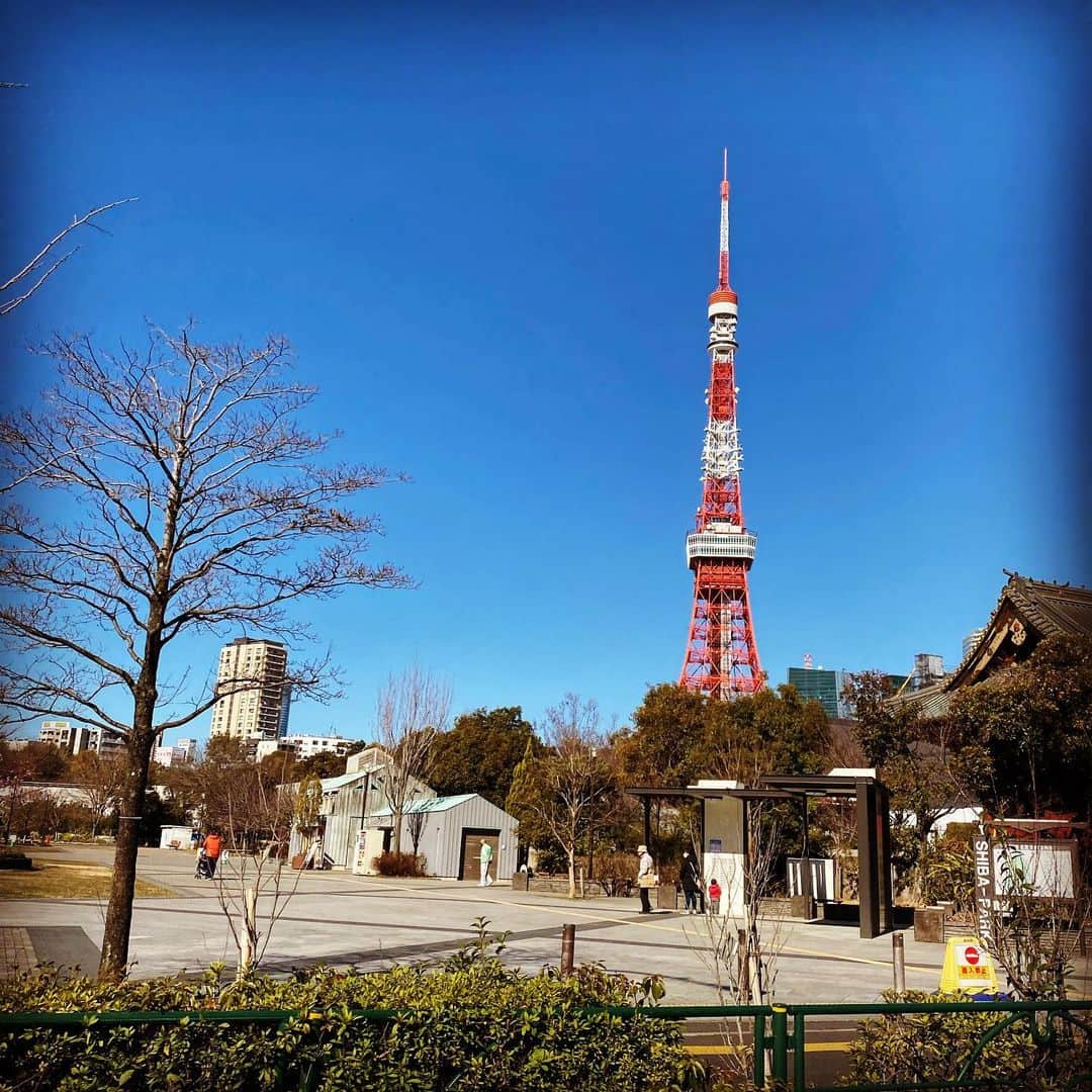 田中理恵さんのインスタグラム写真 - (田中理恵Instagram)「今日もお互い頑張りましょう！  #東京タワー」2月19日 11時42分 - riiiiiie611